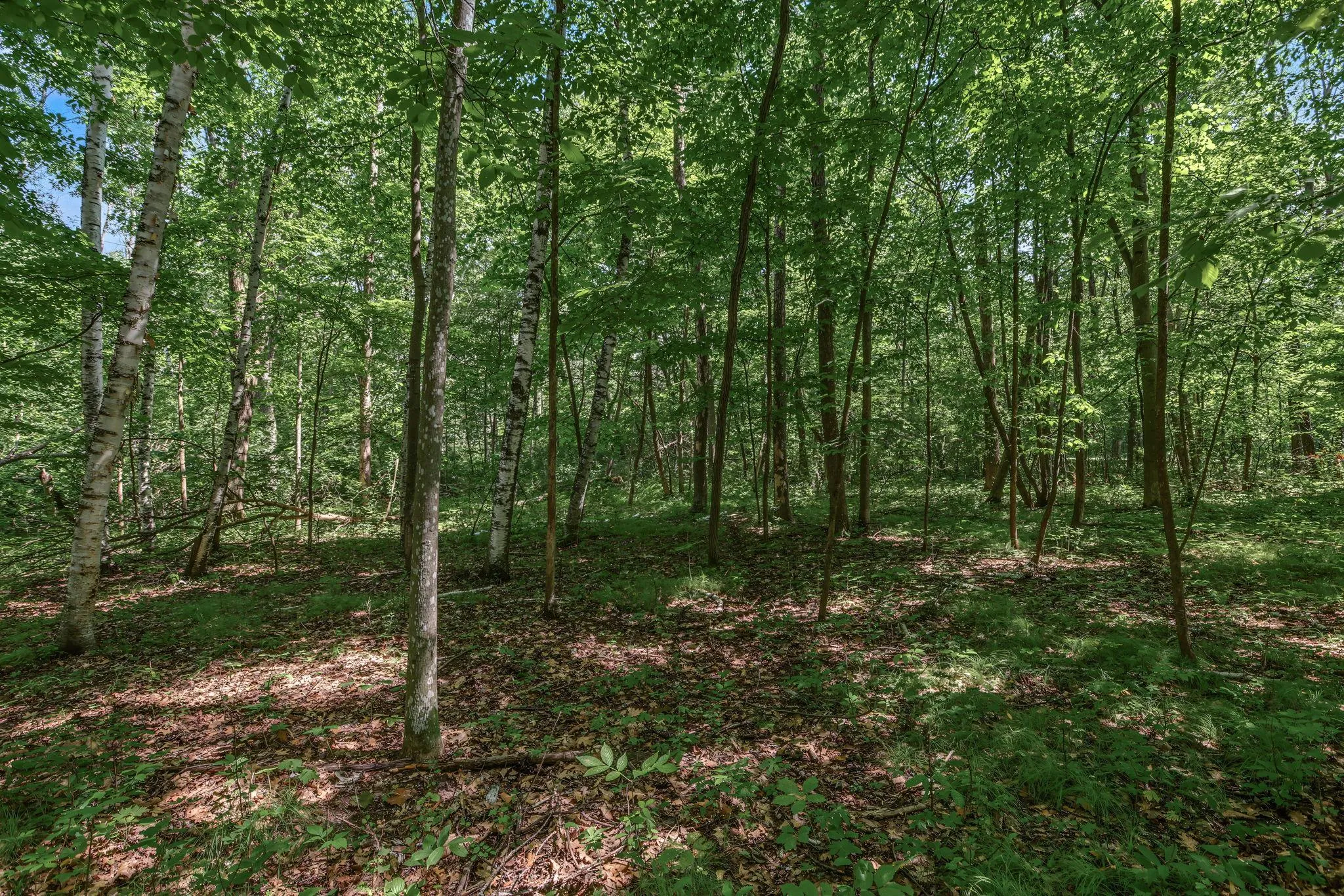 Photo 7 of 25xxx Itasca Avenue