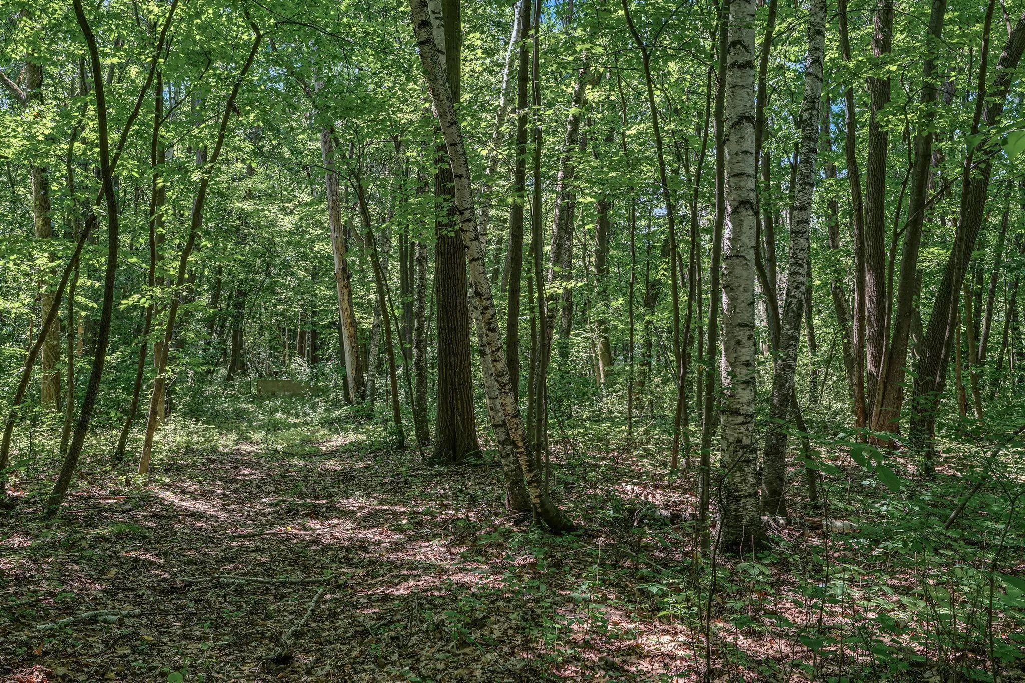 Photo 10 of 25xxx Itasca Avenue