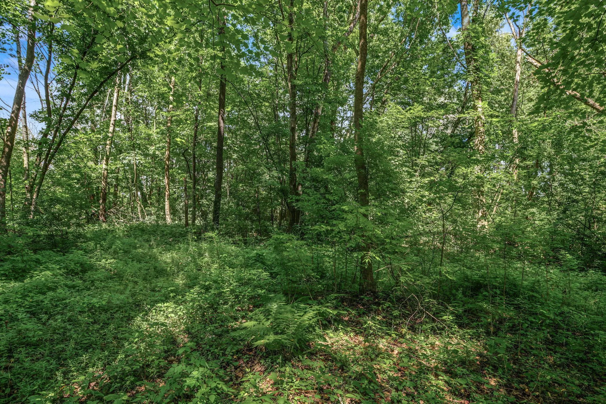 Photo 7 of 25179 Itasca Avenue