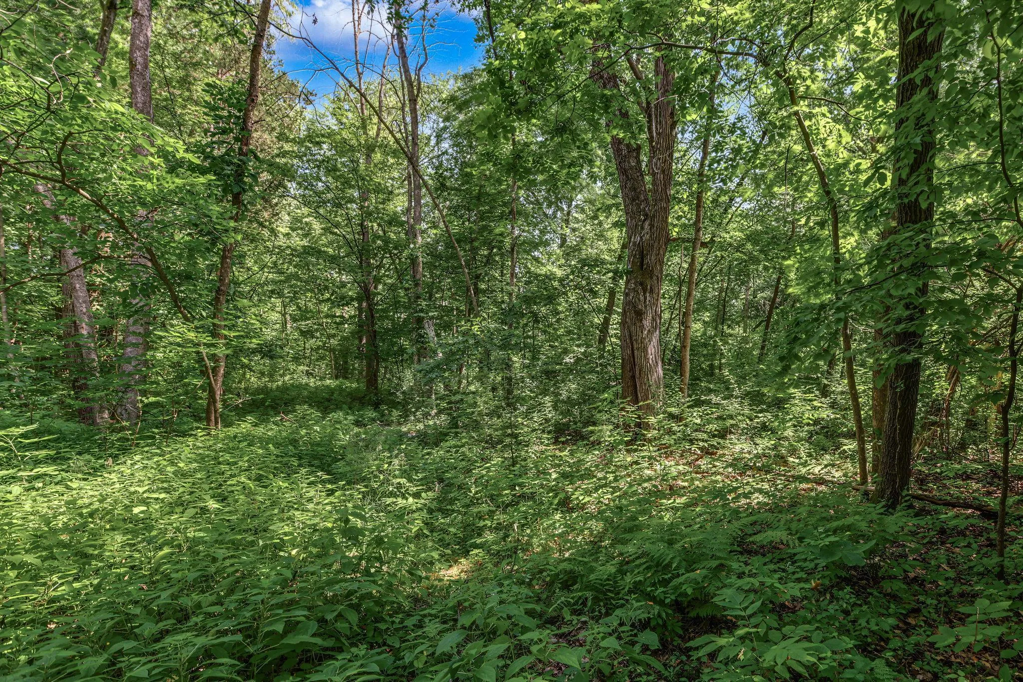 Photo 9 of 25179 Itasca Avenue