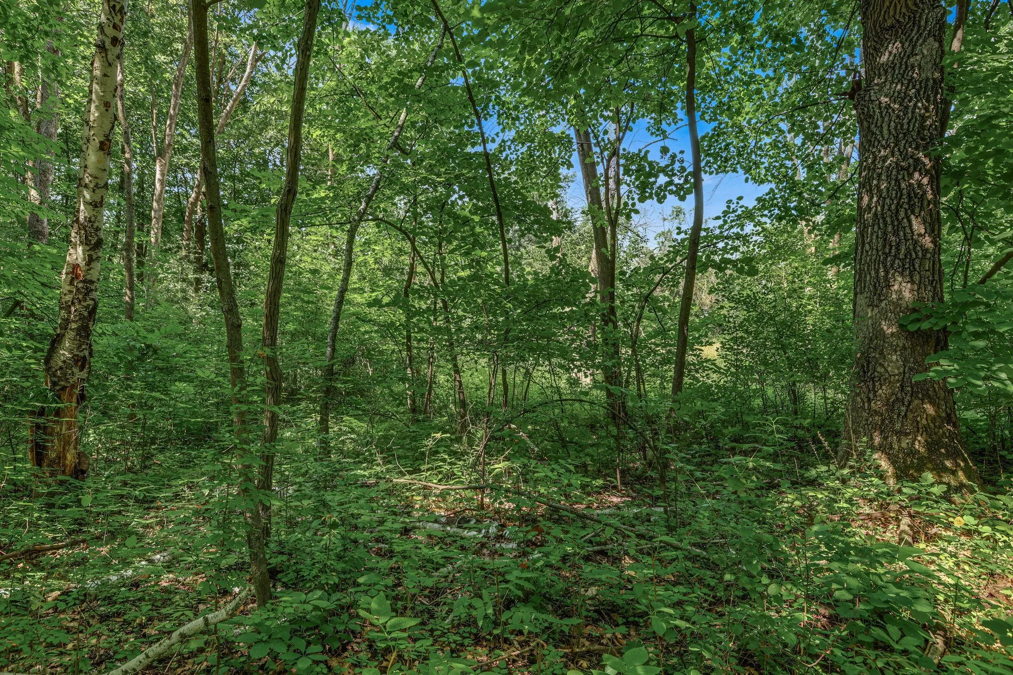 Photo 4 of 25179 Itasca Avenue