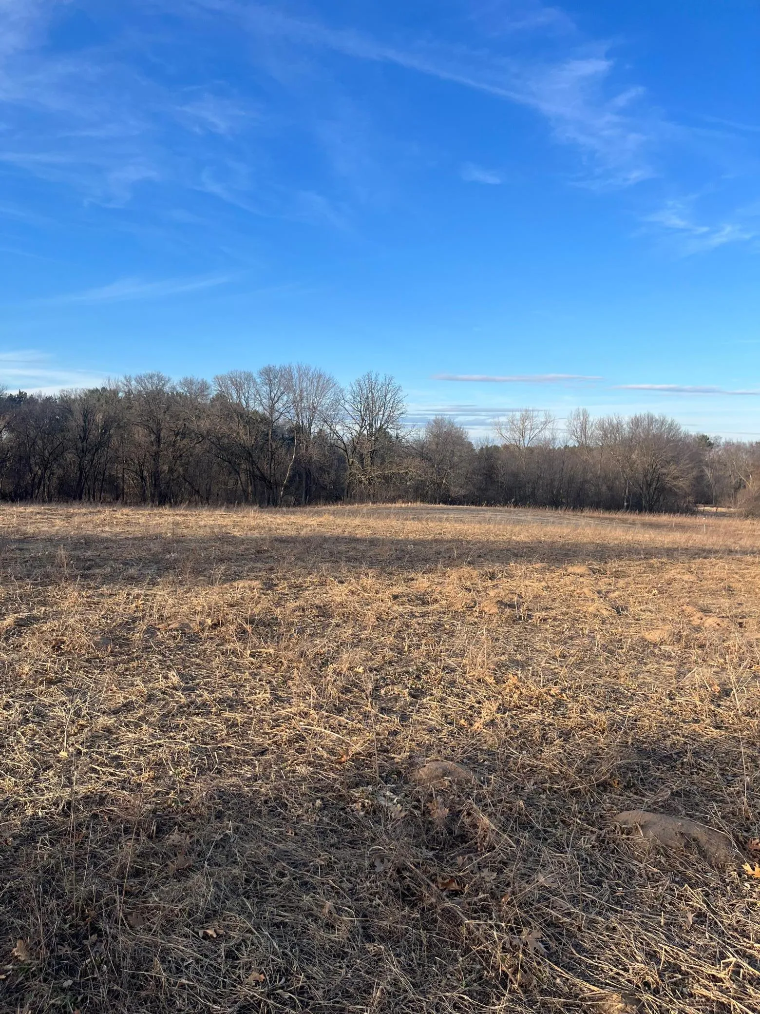 Photo 3 of 5590 Bridgestone Road