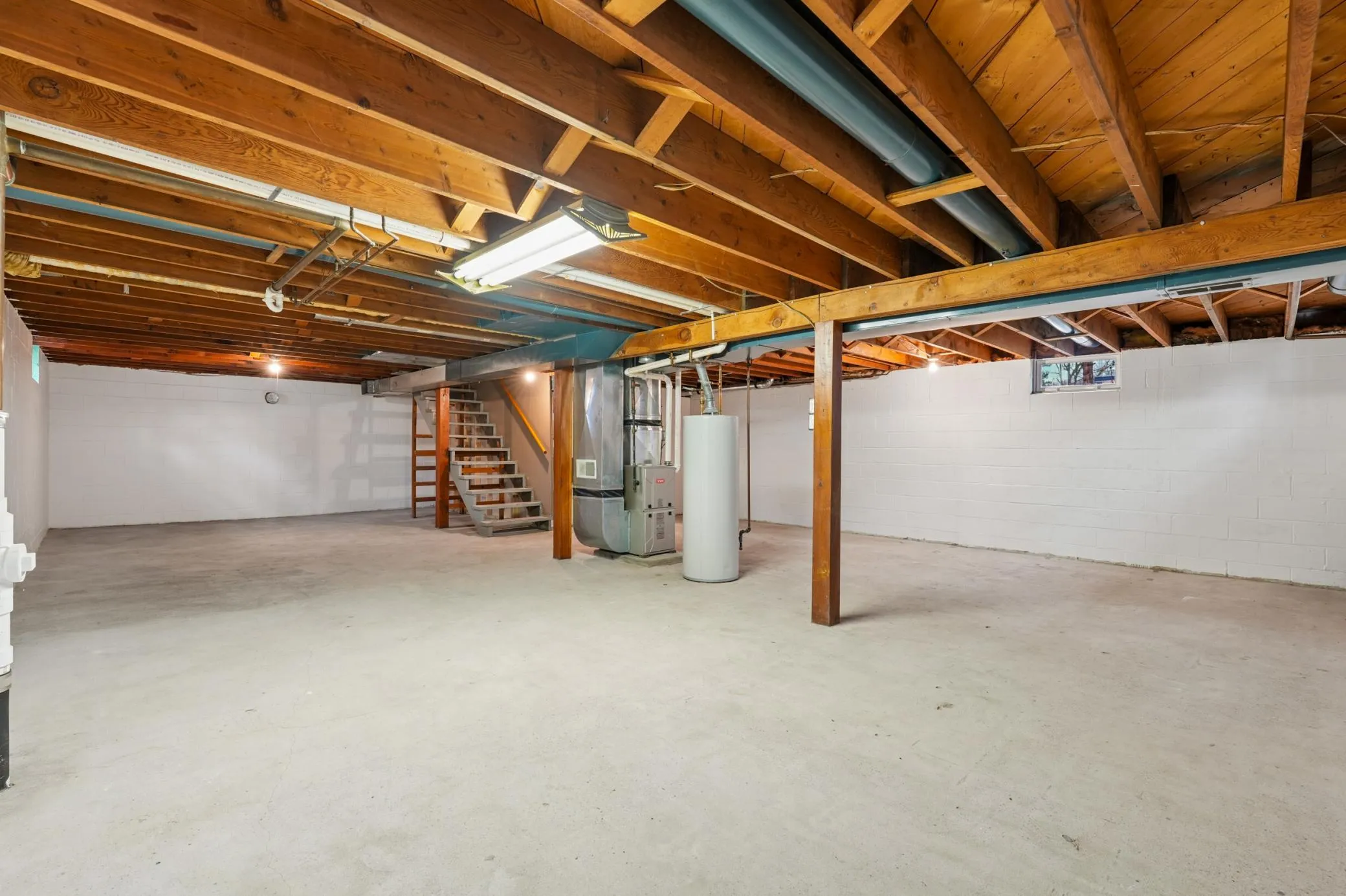 Photo 14 of 351 Horsmann Avenue