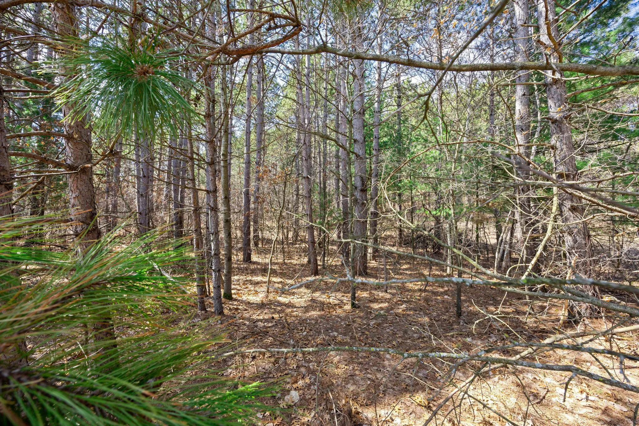 Photo 10 of Lot 3 County Rd I
