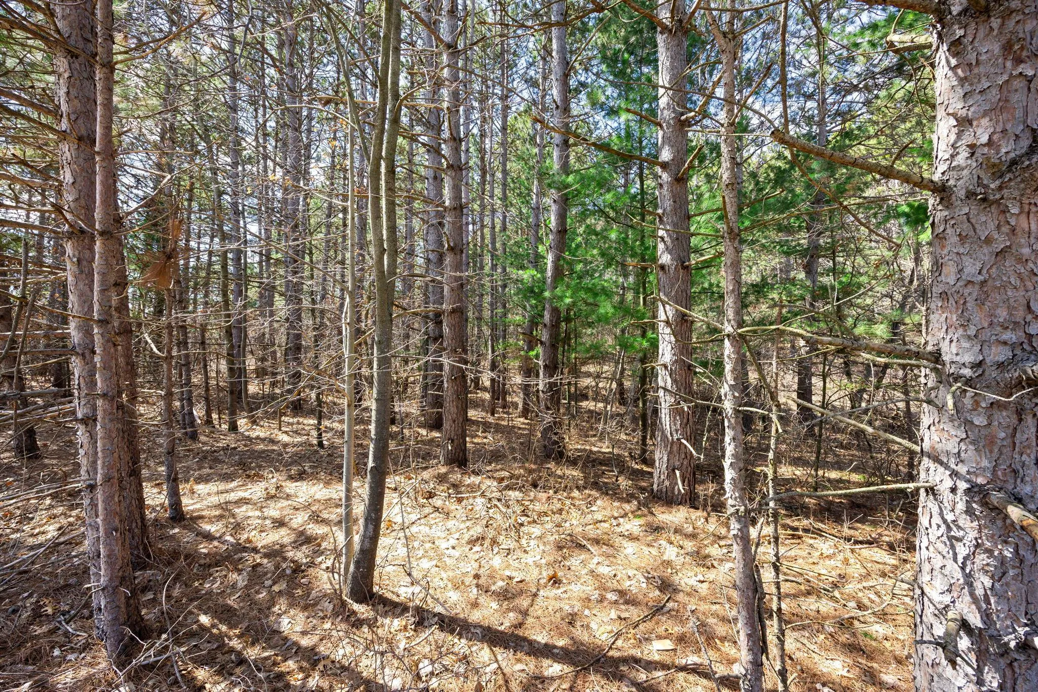 Photo 11 of Lot 3 County Rd I