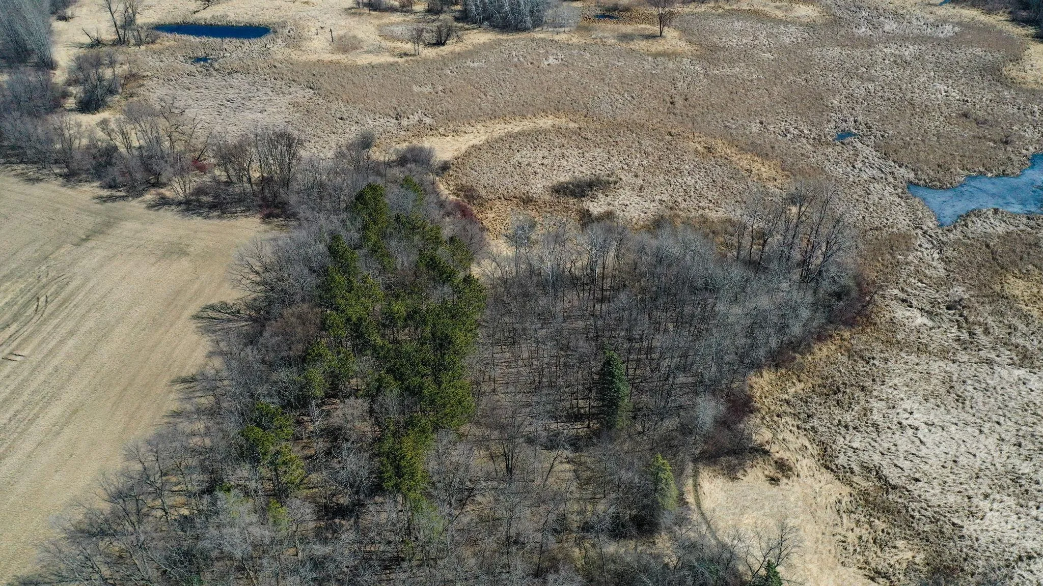 Photo 6 of Tbd Elmcrest N Avenue