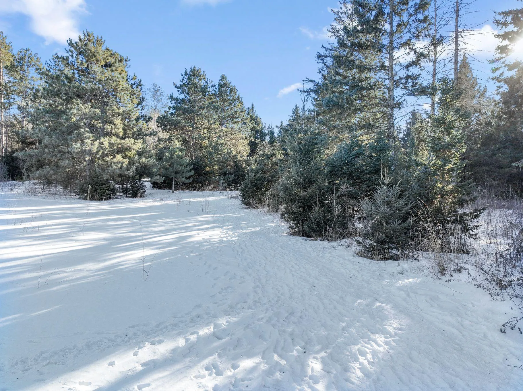 Photo 37 of 258 Salishan Drive