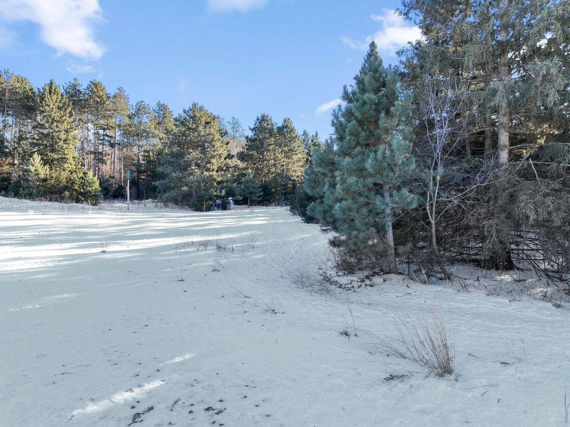 Photo 36 of 256 Salishan Drive