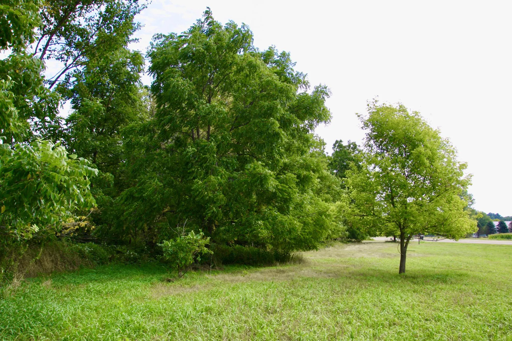 Photo 7 of Tbd Highway 65
