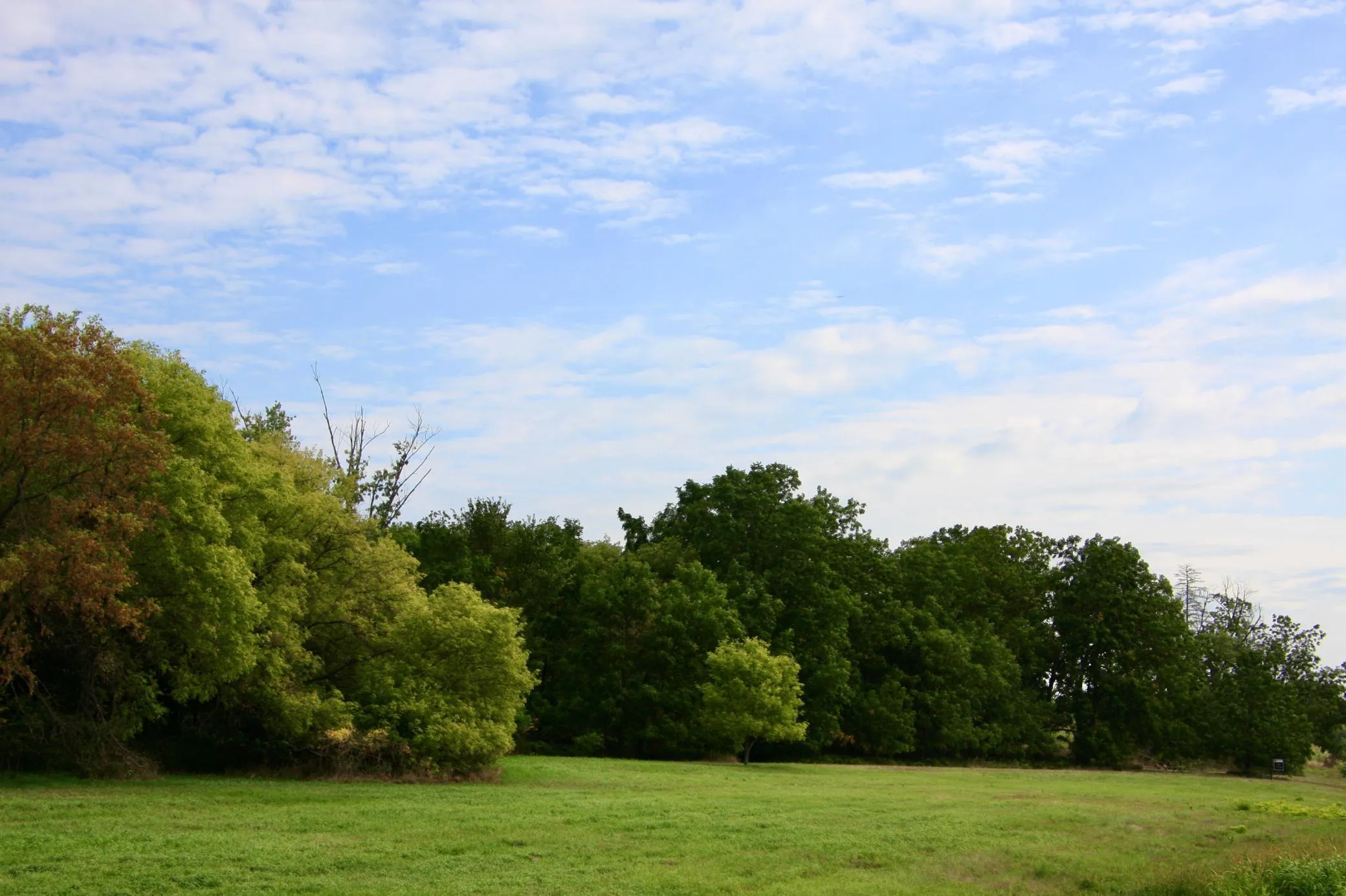 Photo 5 of Tbd Highway 65