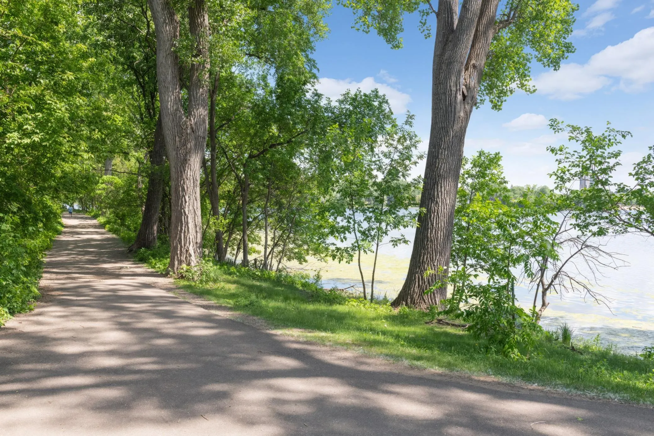 Photo 97 of 2224 W Lake Of The Isles Parkway