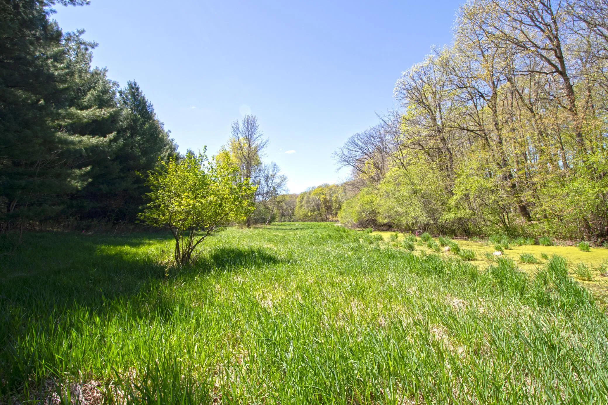 Photo 6 of Tbd Nueman Trail