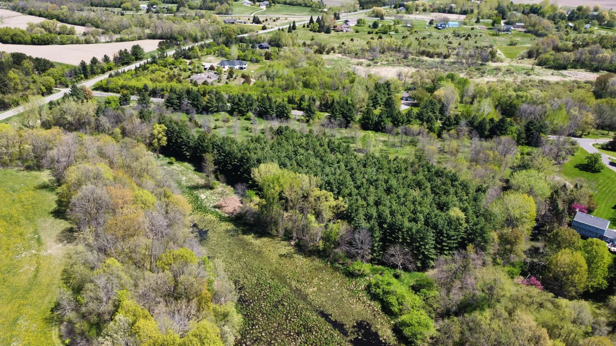Photo 3 of Tbd Nueman Trail