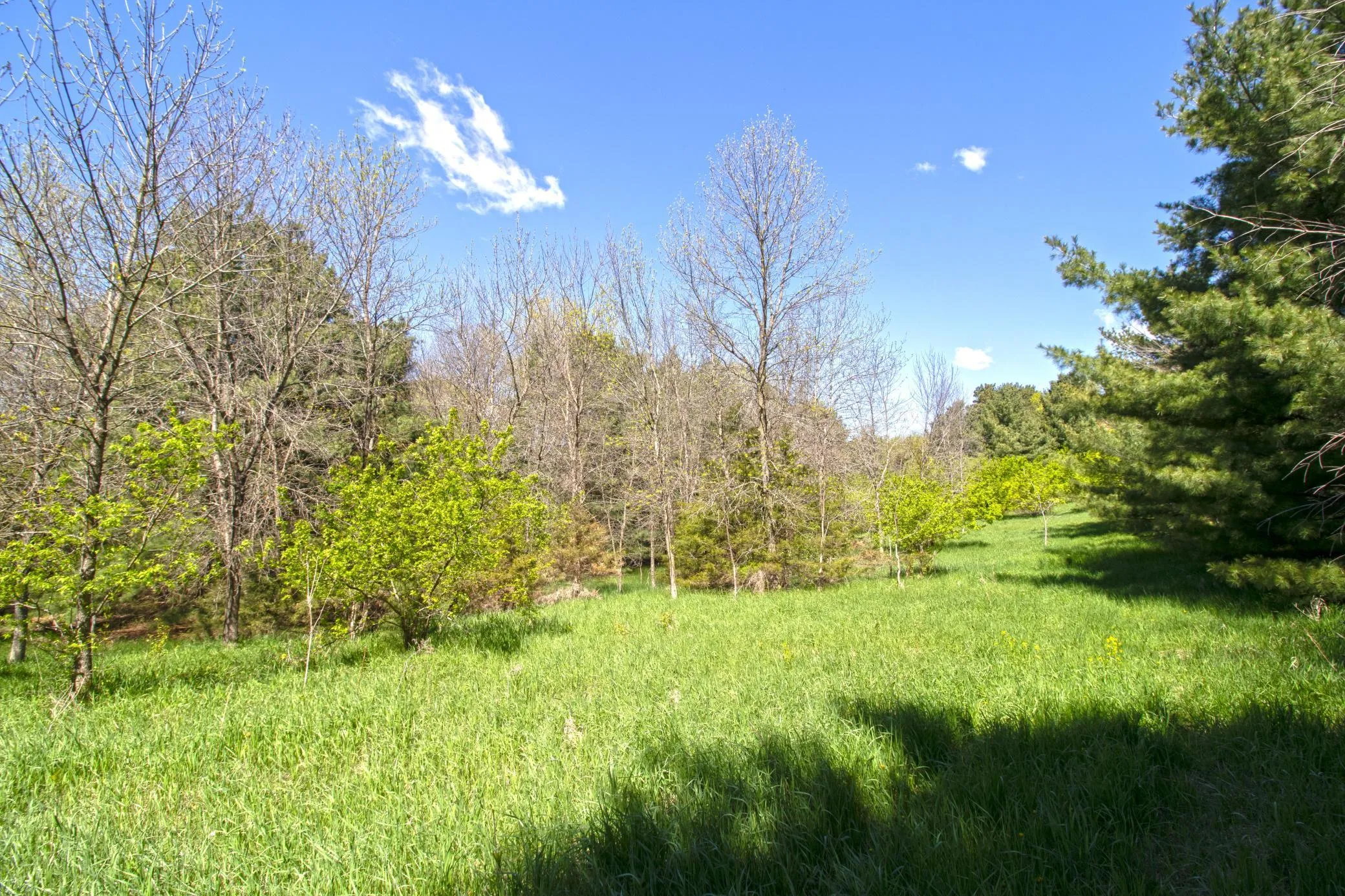 Photo 7 of Tbd Nueman Trail