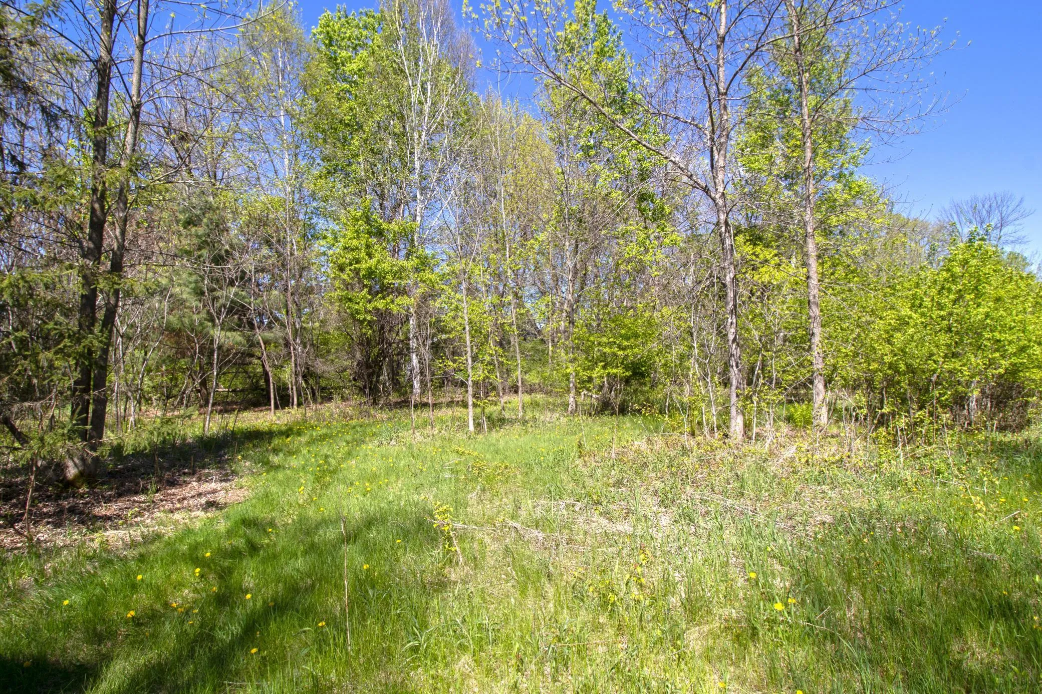 Photo 5 of Tbd Northland Trail