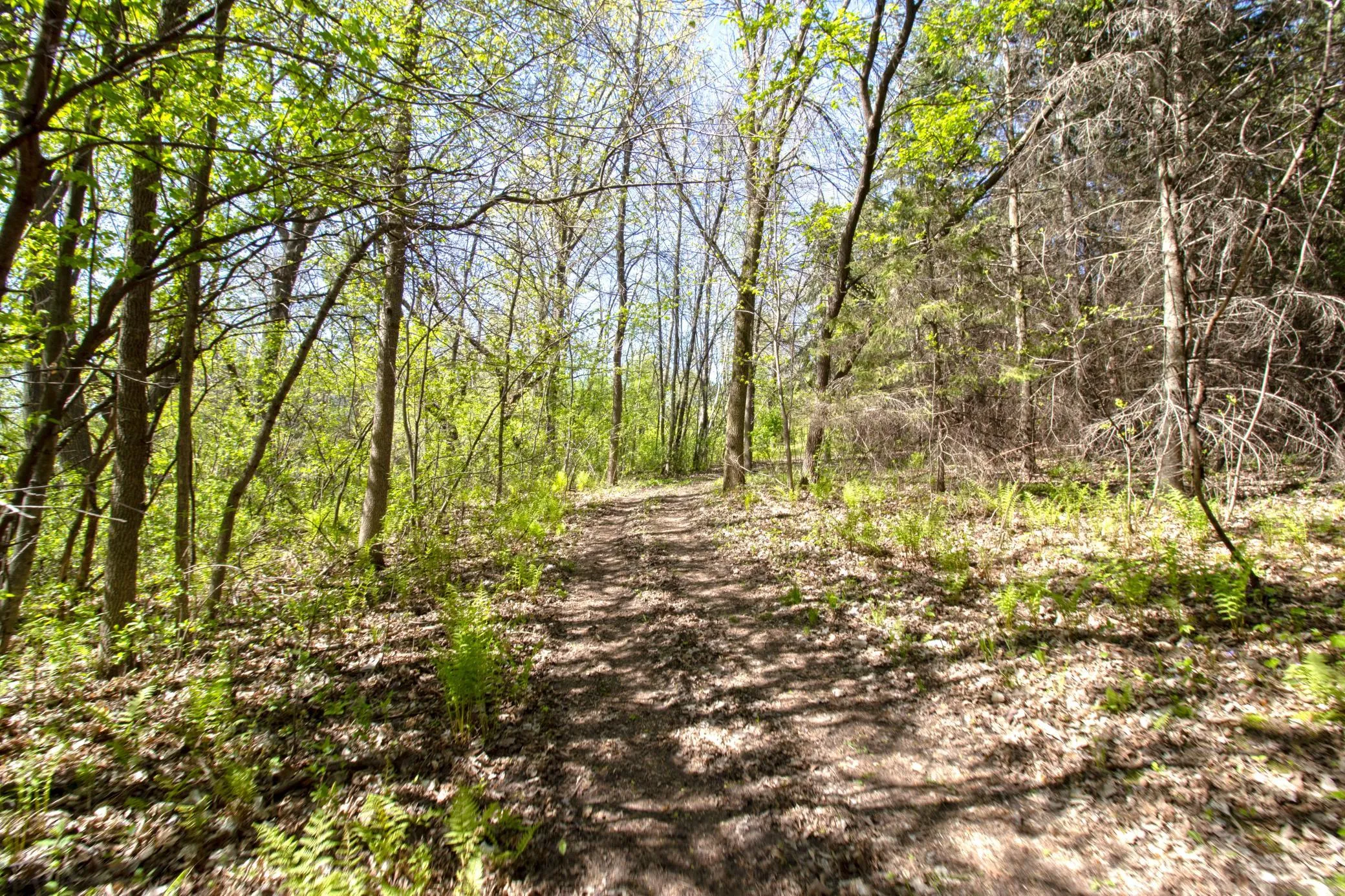 Photo 4 of Tbd Northland Trail