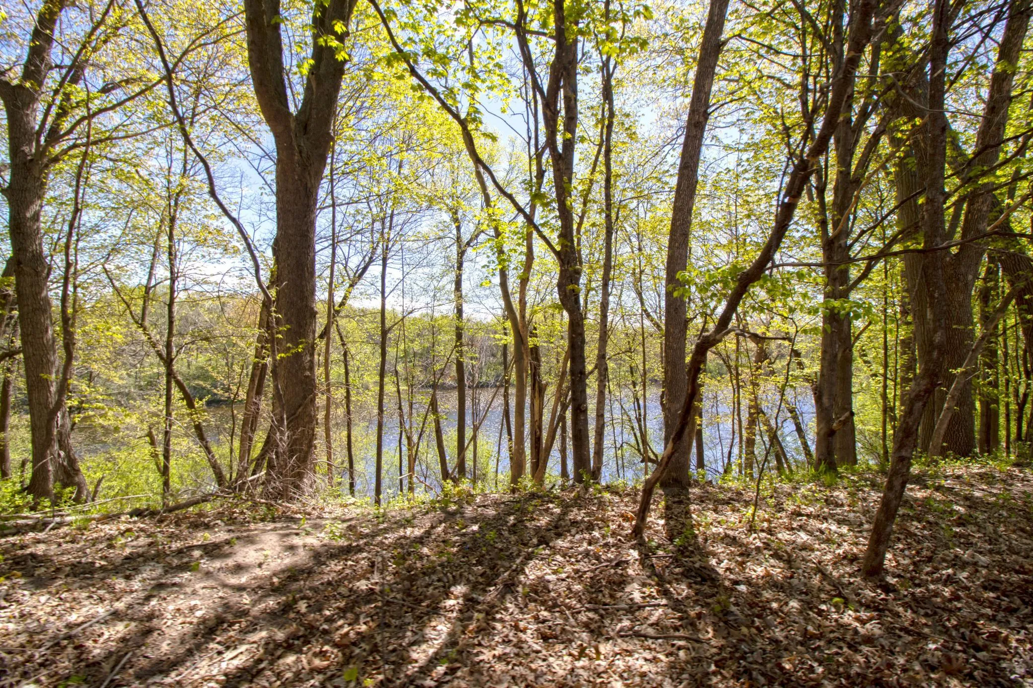 Photo 7 of Tbd Northland Trail