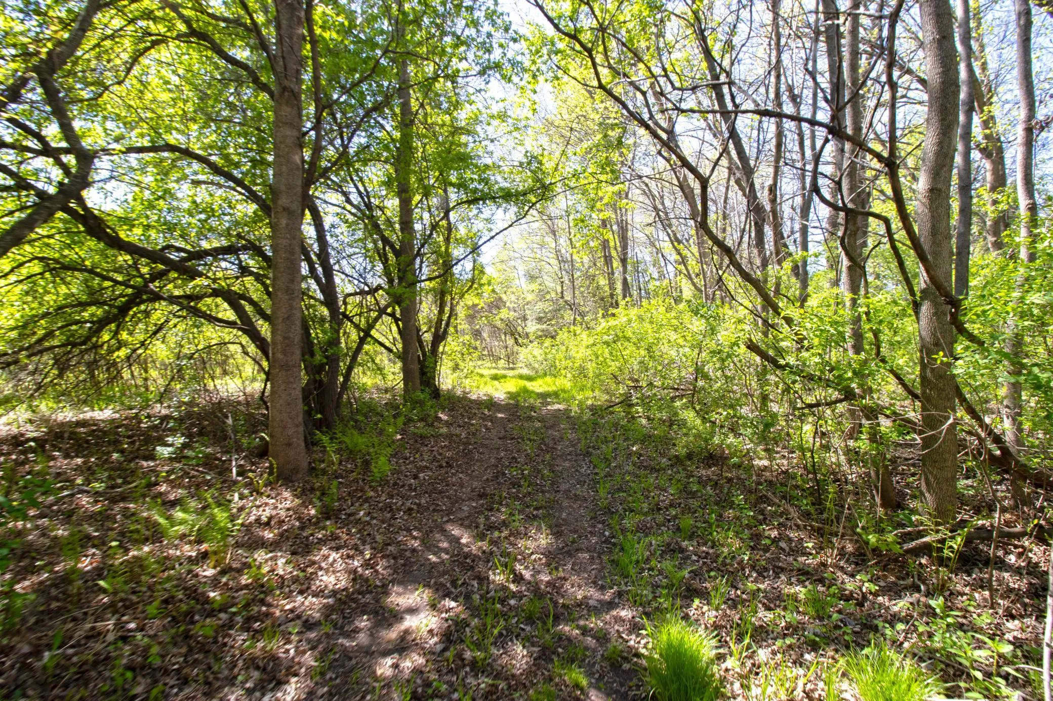 Photo 6 of Tbd Northland Trail