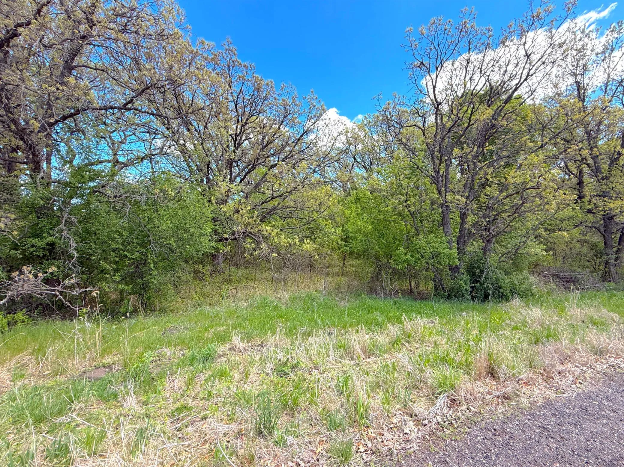 Photo 11 of 211xx County Road 75