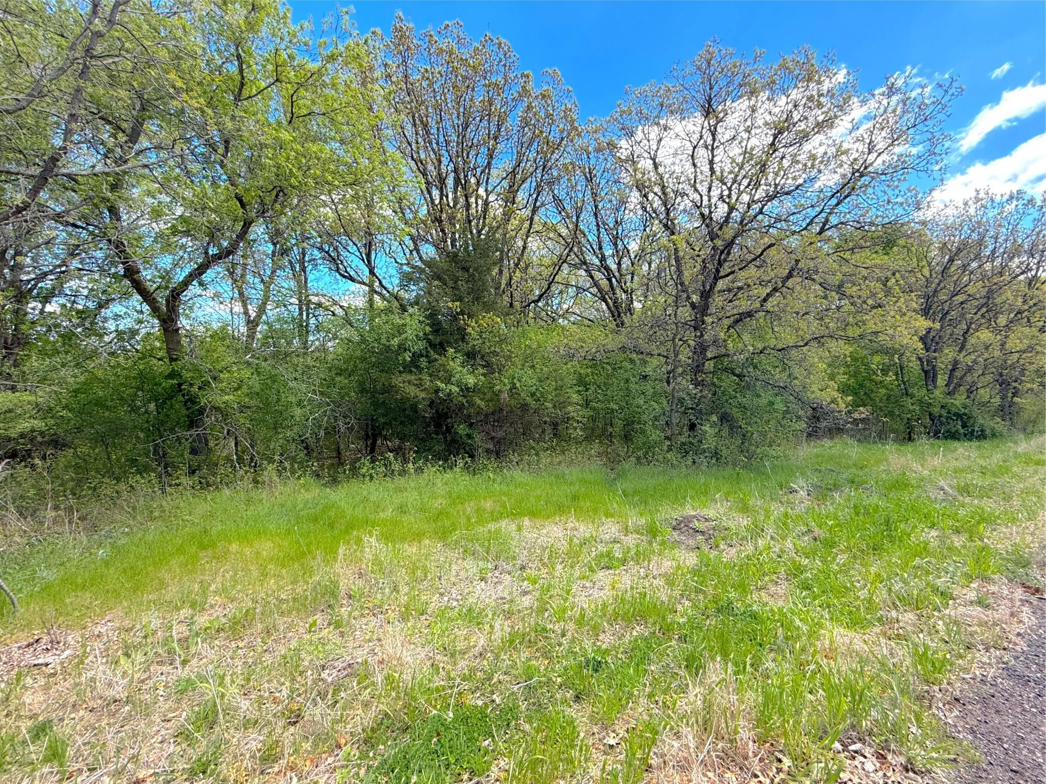 Photo 4 of 211xx County Road 75
