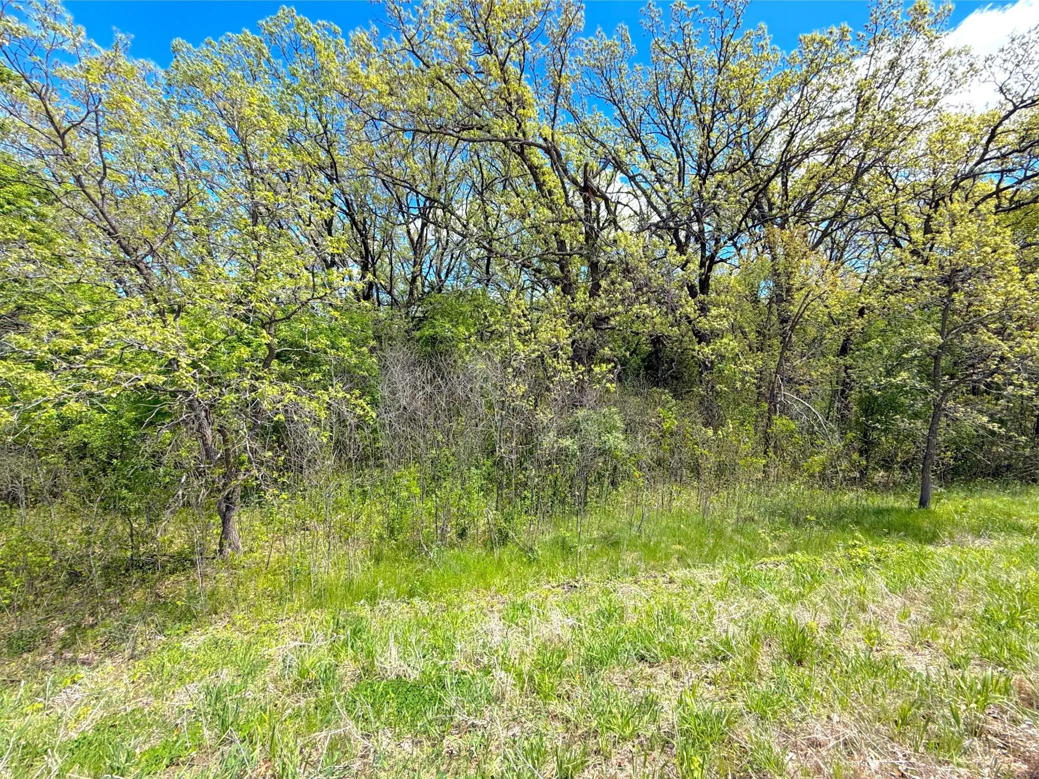 Photo 7 of 211xx County Road 75