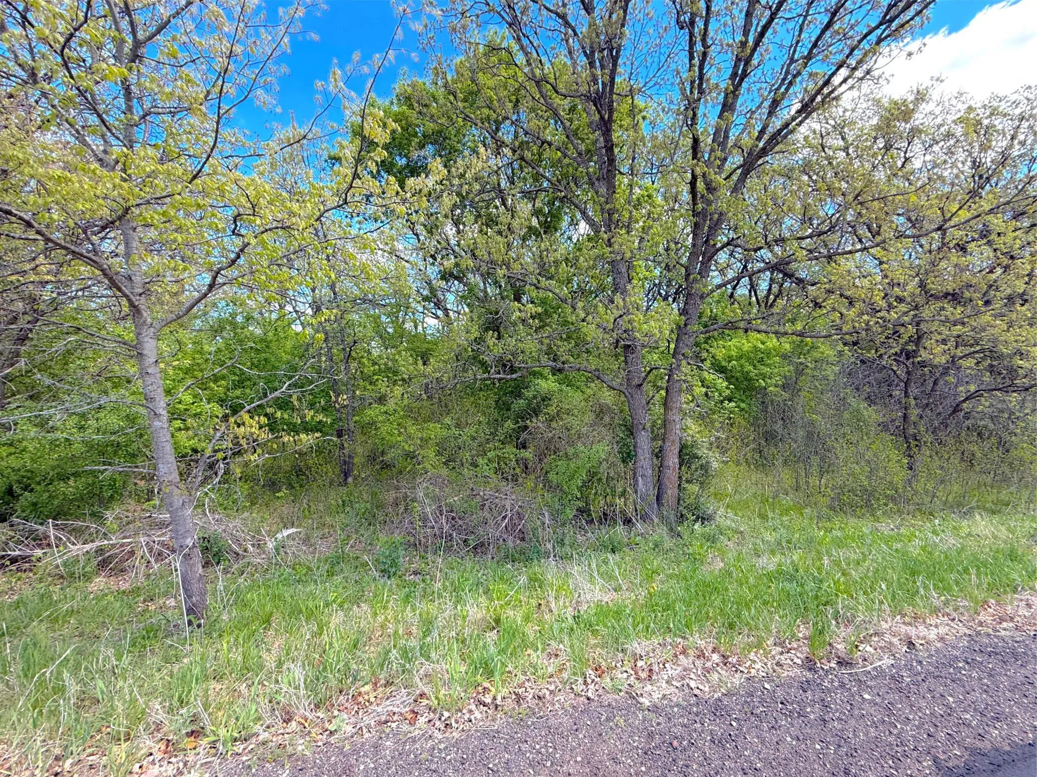 Photo 14 of 211xx County Road 75