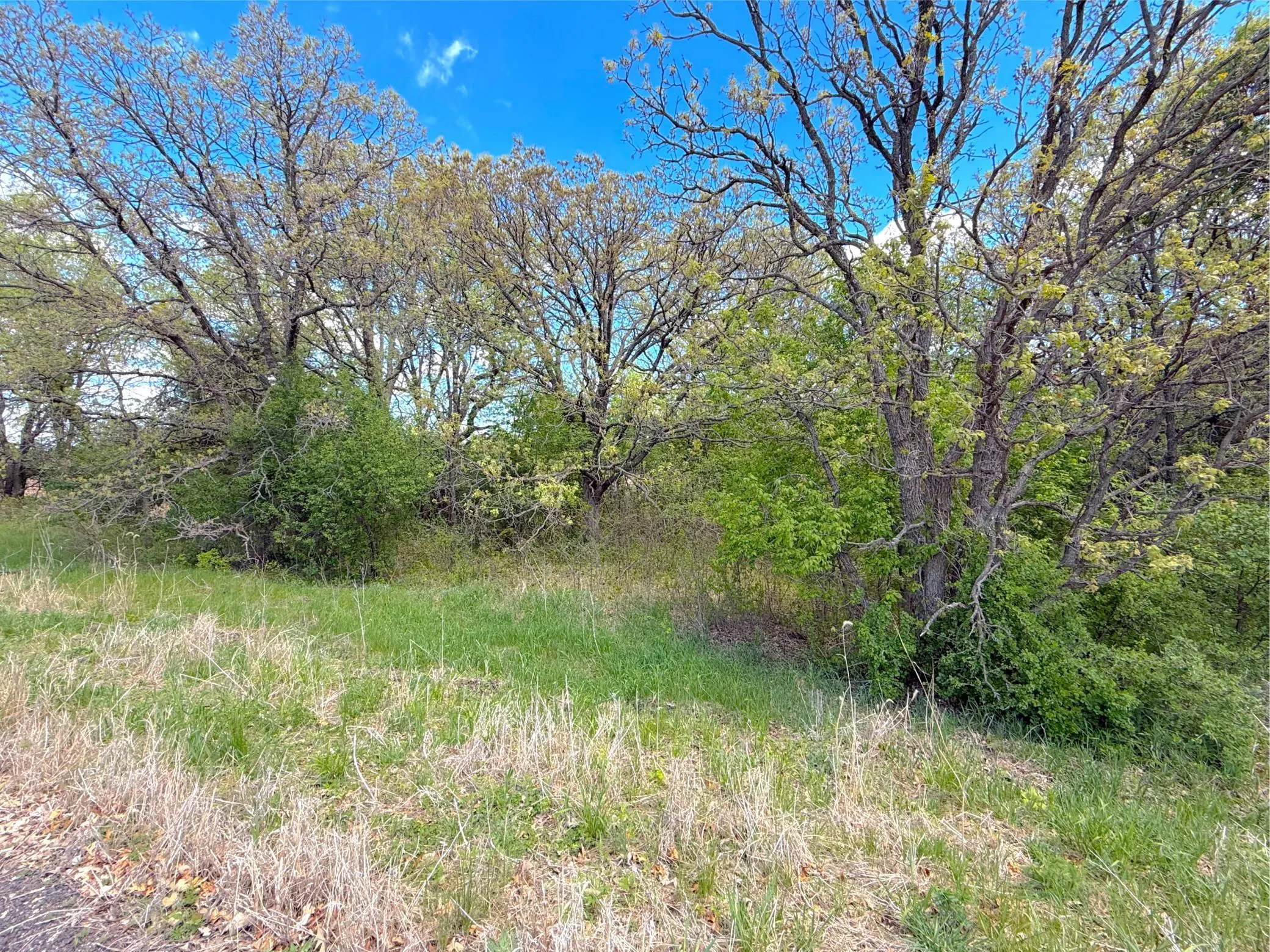 Photo 12 of 211xx County Road 75