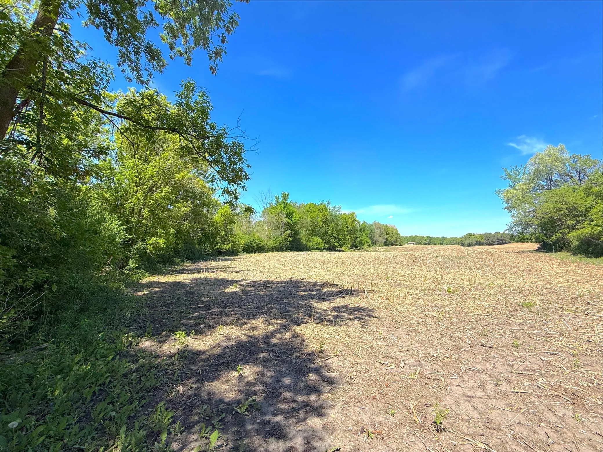 Photo 4 of 210xx County Road 75