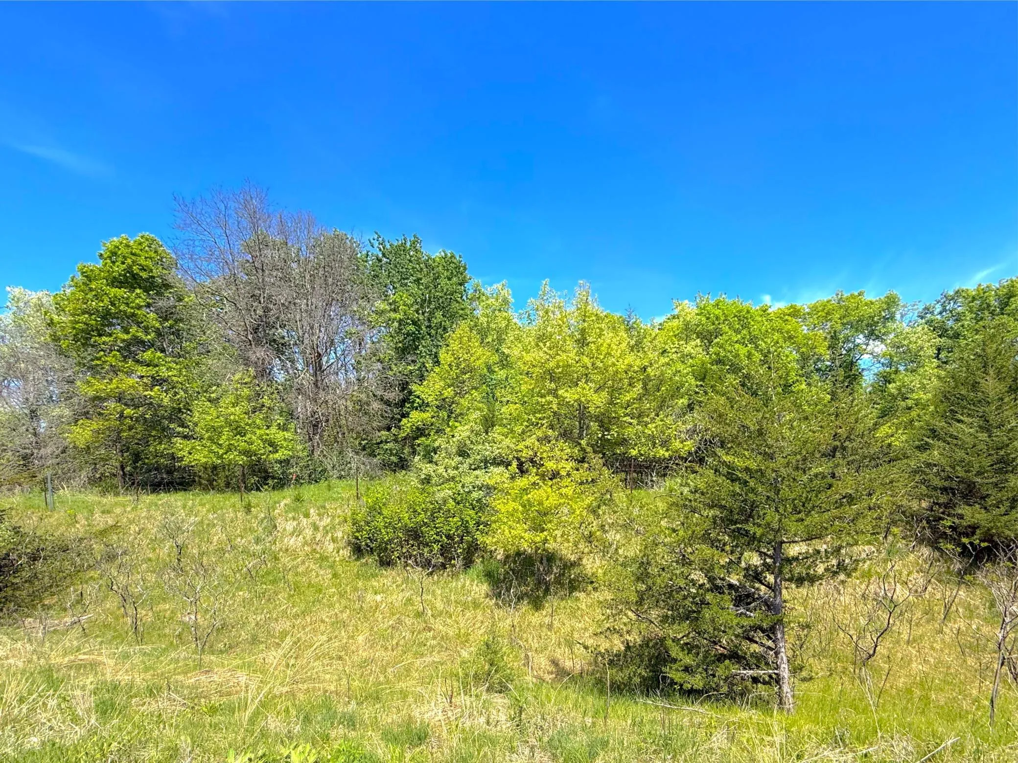 Photo 3 of 210xx County Road 75