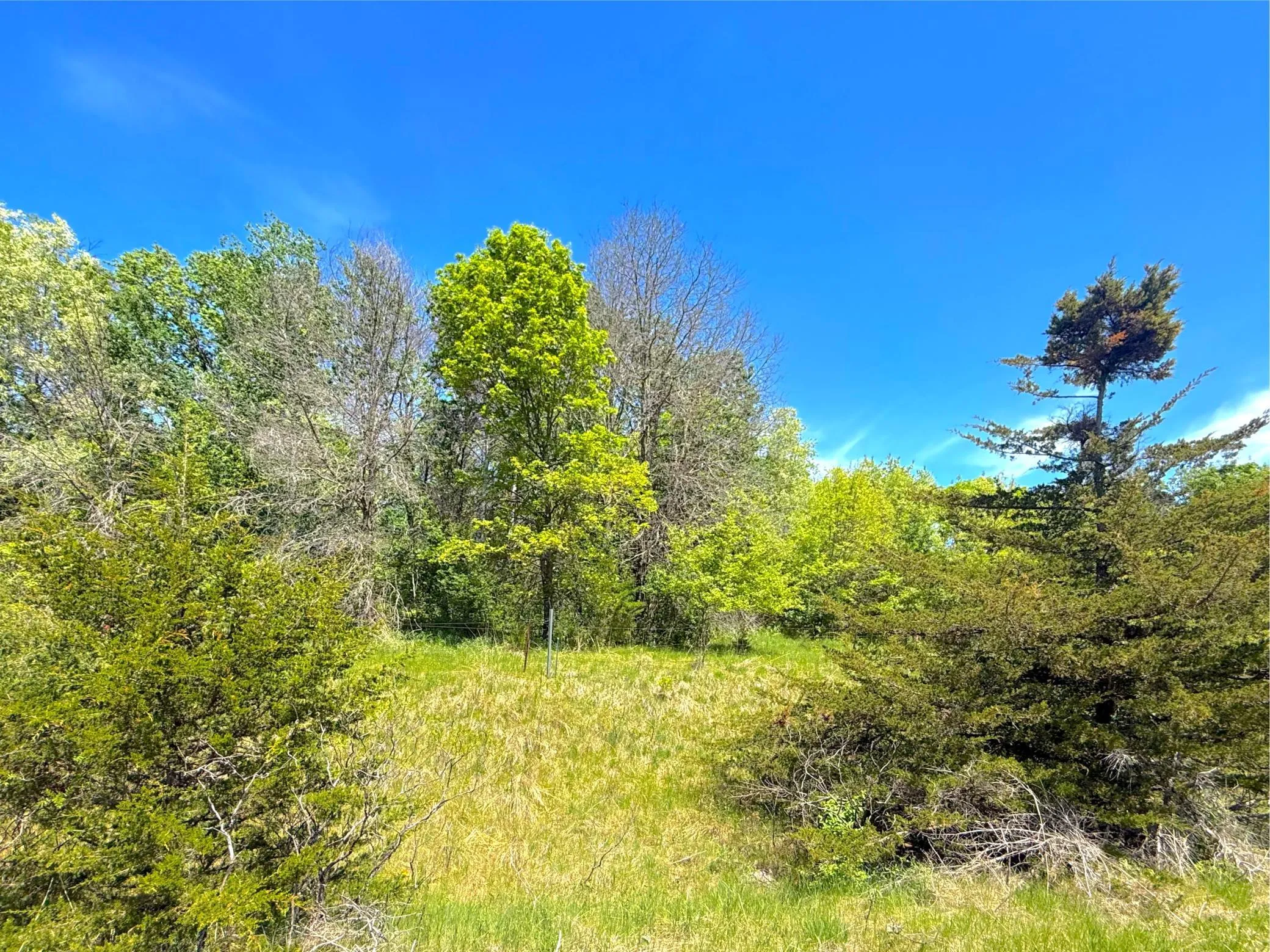 Photo 10 of 210xx County Road 75