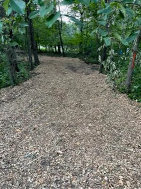 Photo 10 of Lot 4 Tiger Nw Street