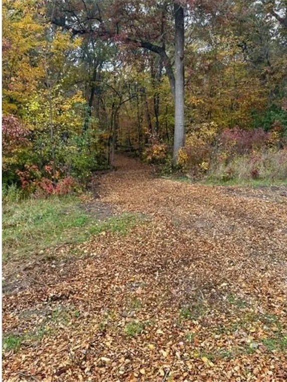 Photo 5 of Lot 4 Tiger Nw Street