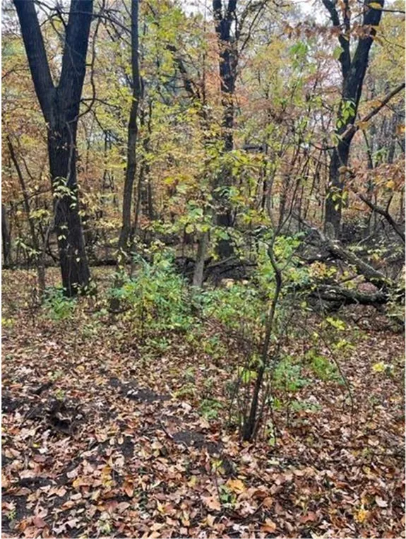 Photo 17 of Lot 4 Tiger Nw Street