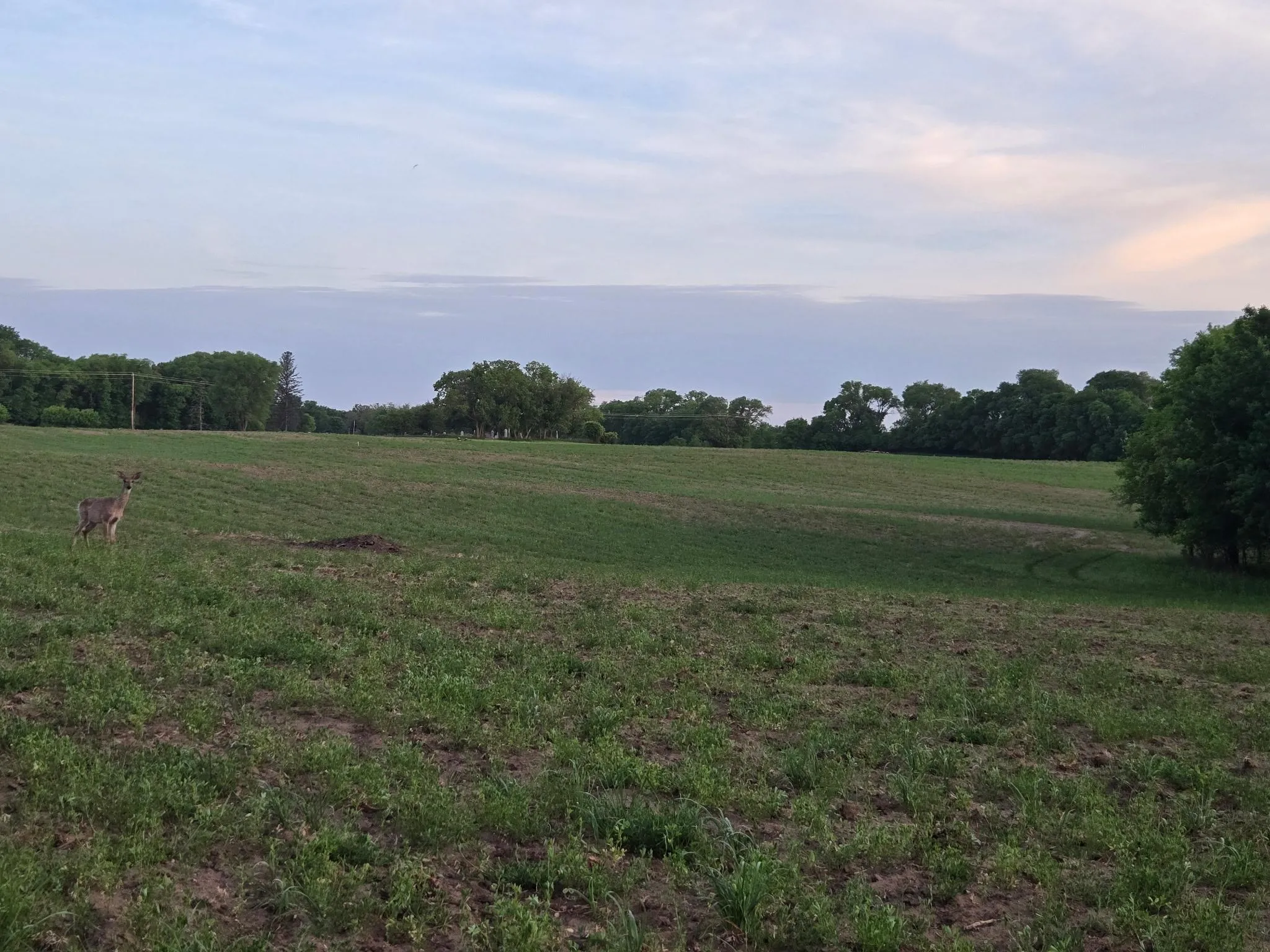 Photo 3 of Tbd Parcel B County Rd 5 Nw