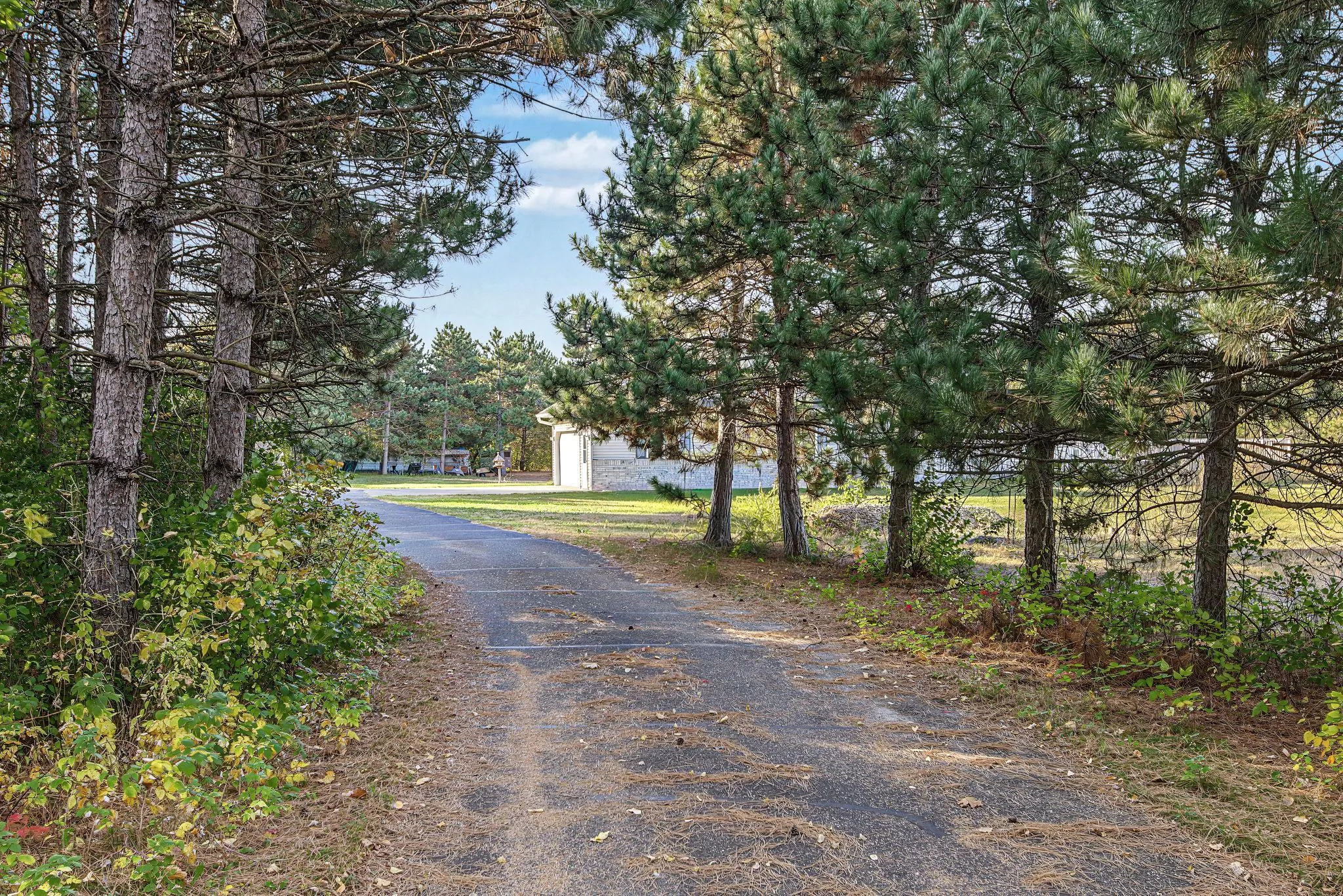 Photo 8 of 10095 367th Street