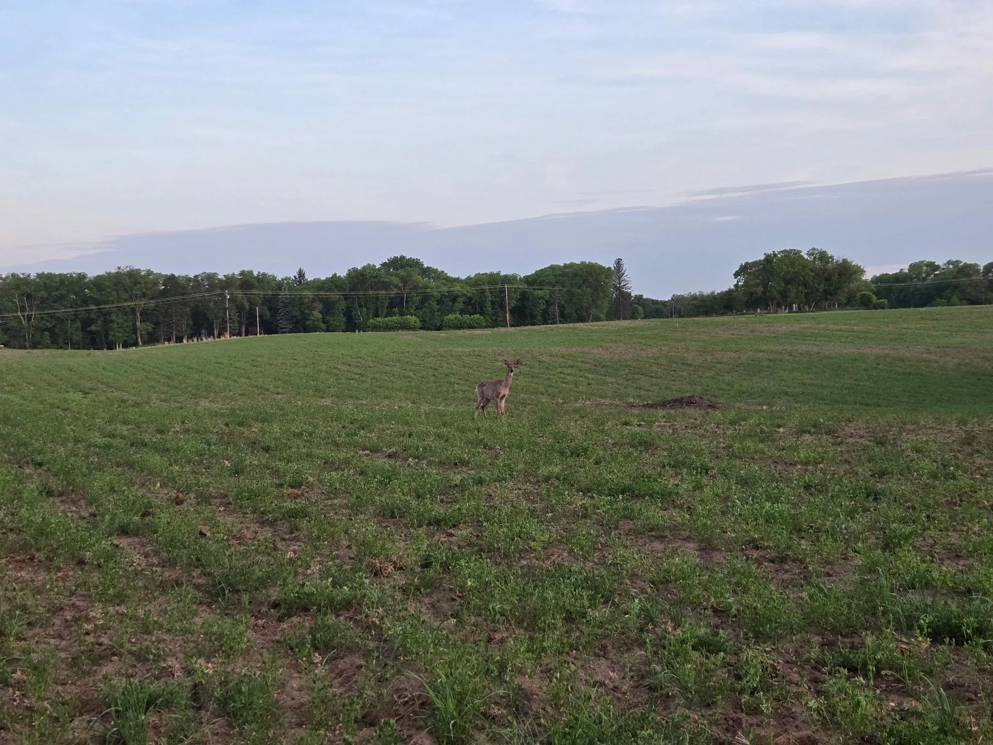 Photo 2 of Tbd Parcel A County Rd 5 Nw