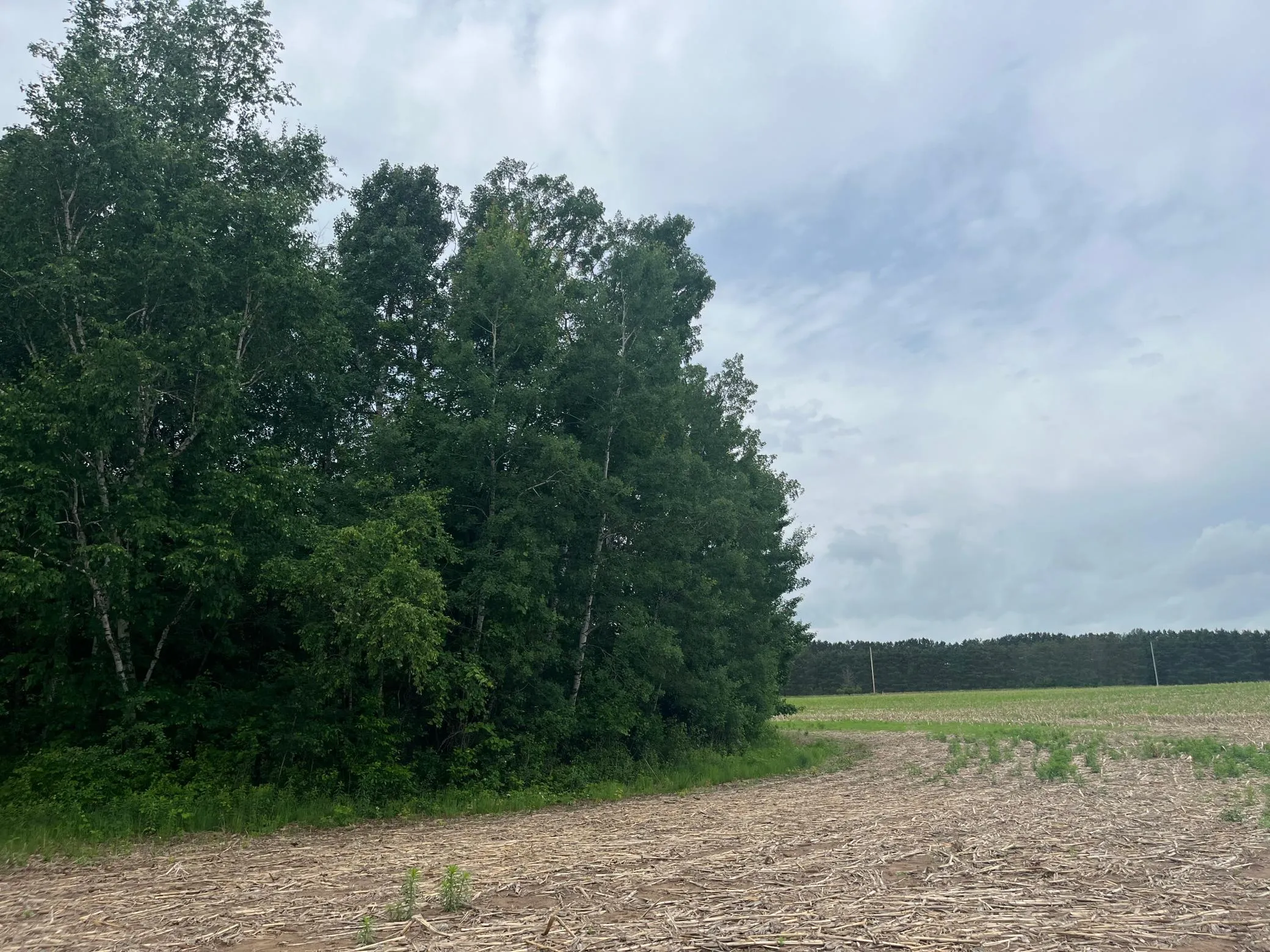 Photo 5 of Tbd (lot 2) Hemingway Avenue