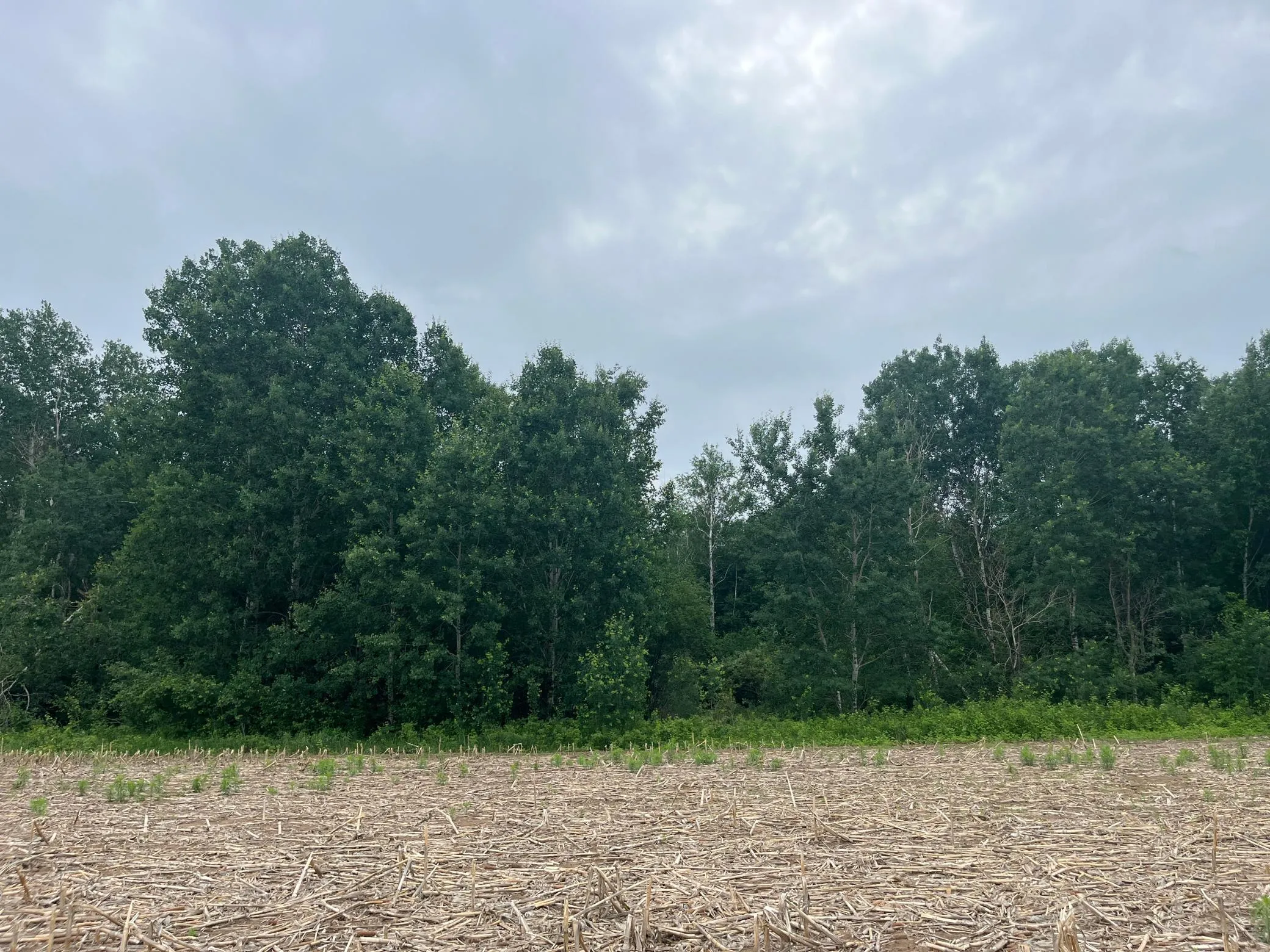 Photo 3 of Tbd (lot 2) Hemingway Avenue