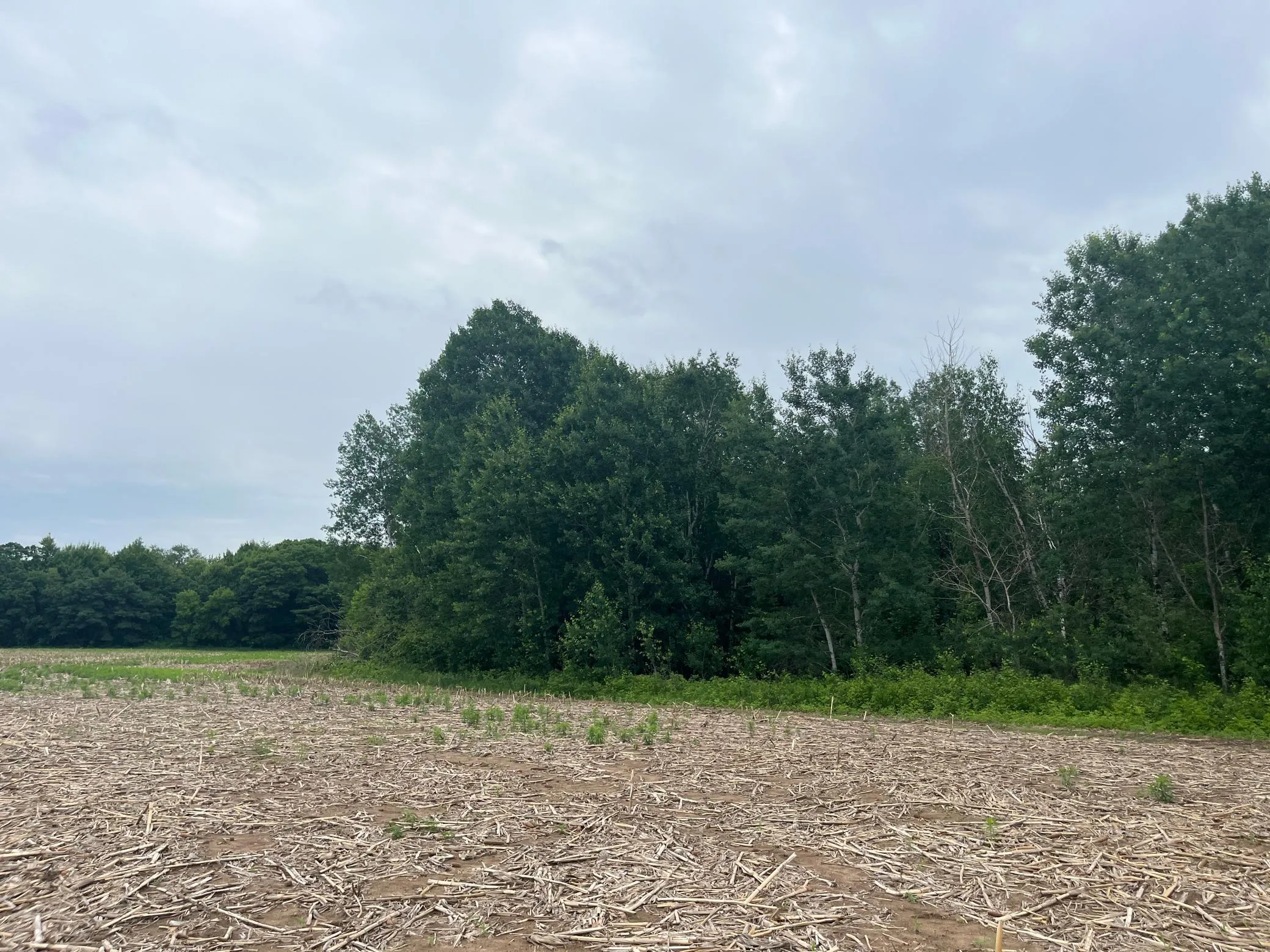 Photo 4 of Tbd (lot 2) Hemingway Avenue