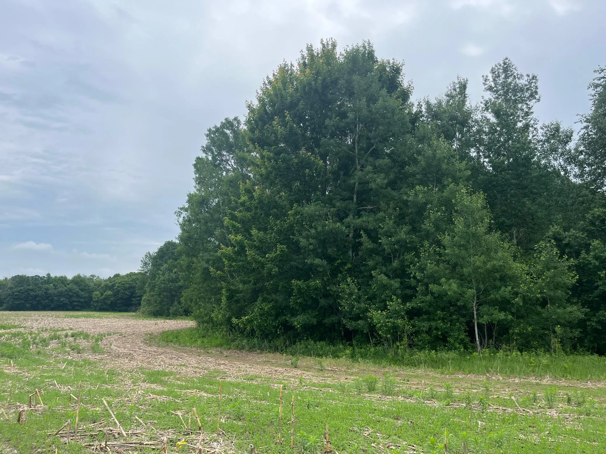 Photo 2 of Tbd (lot 3) Hemingway Avenue