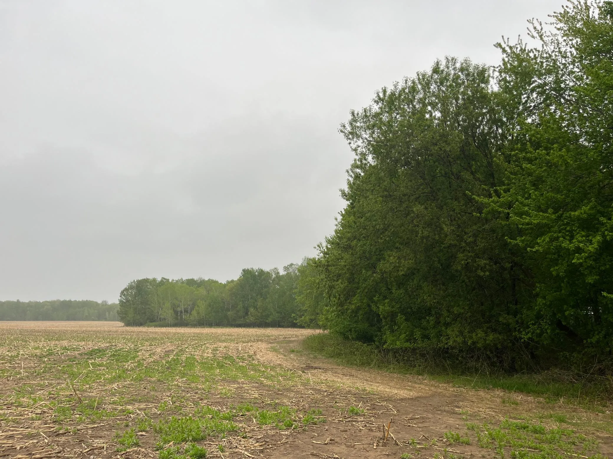 Photo 5 of Tbd (lot 4) Hemingway Avenue