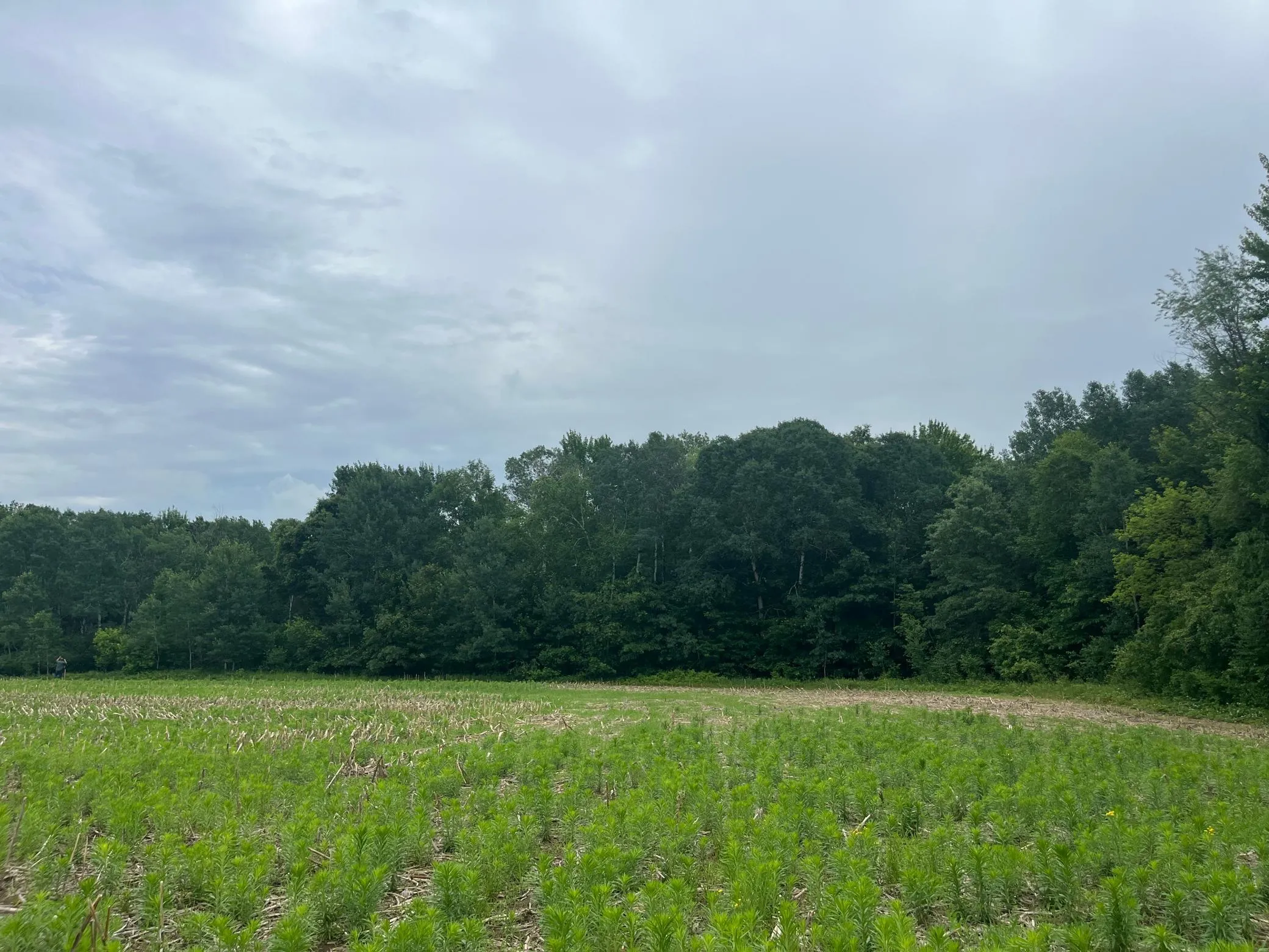Photo 4 of Tbd (lot 4) Hemingway Avenue