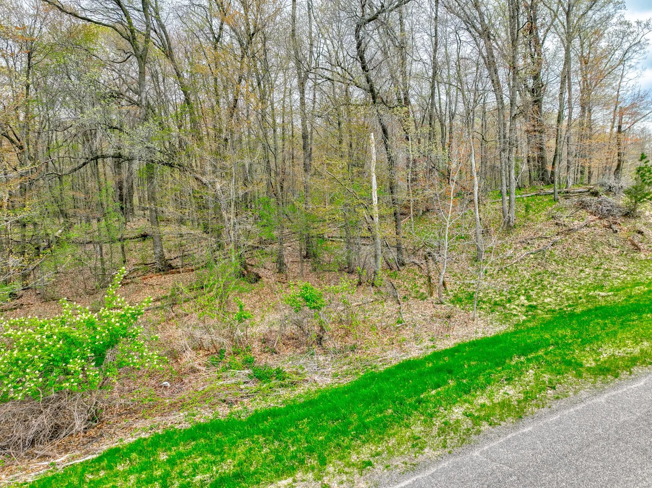 Photo 8 of Xxx 218th (lot 37) Avenue