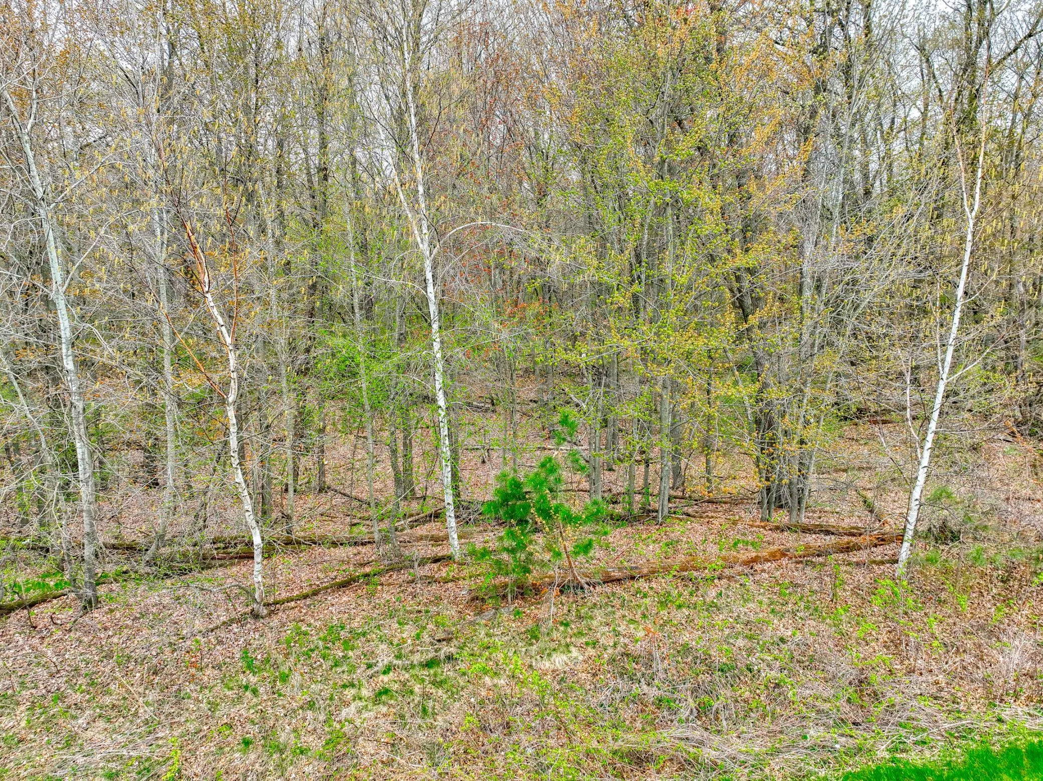 Photo 9 of Xxx 218th (lot 37) Avenue