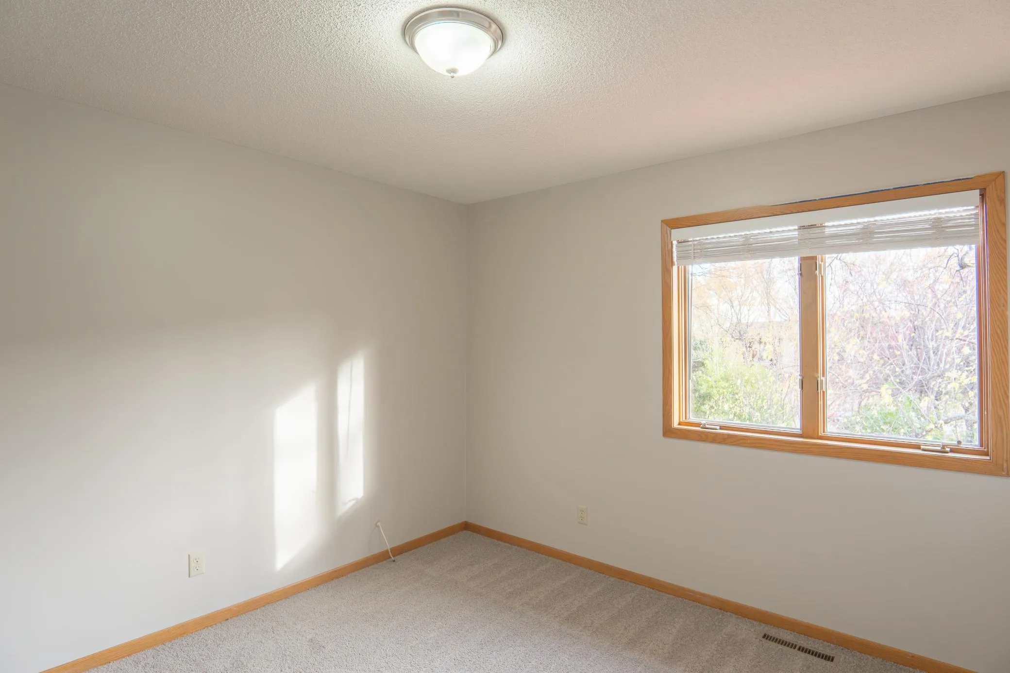 Photo 13 of 5245 Clayton Drive