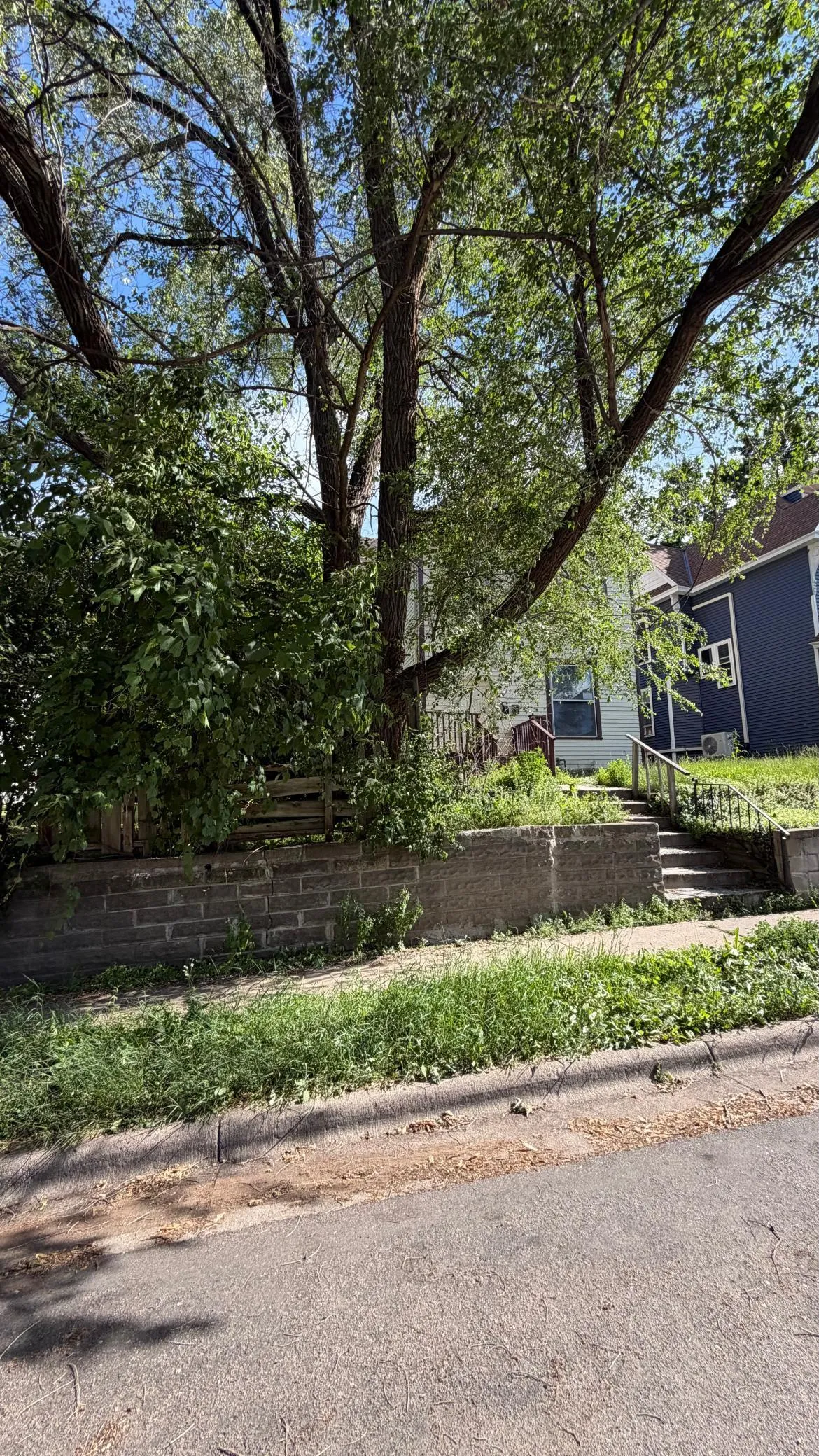 Photo 3 of 422 Mount Ida Street