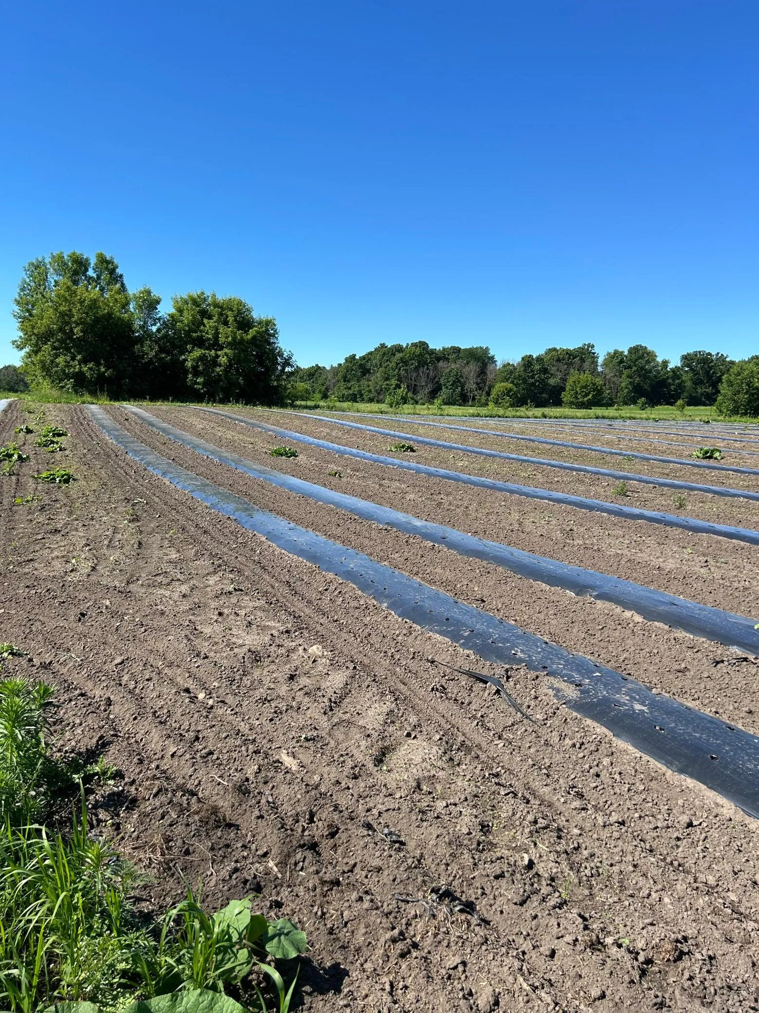 Photo 8 of Tbd Old Cty Rd B