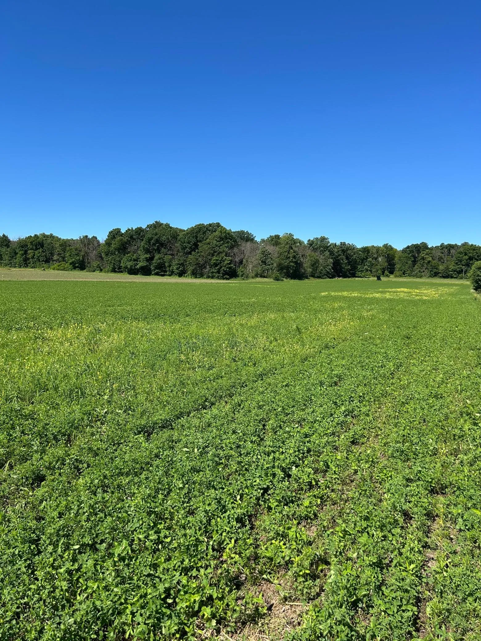 Photo 9 of Tbd Old Cty Rd B