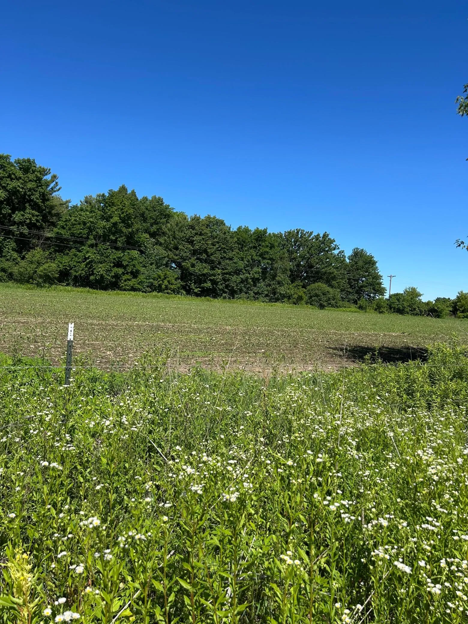Photo 10 of Tbd Old Cty Rd B