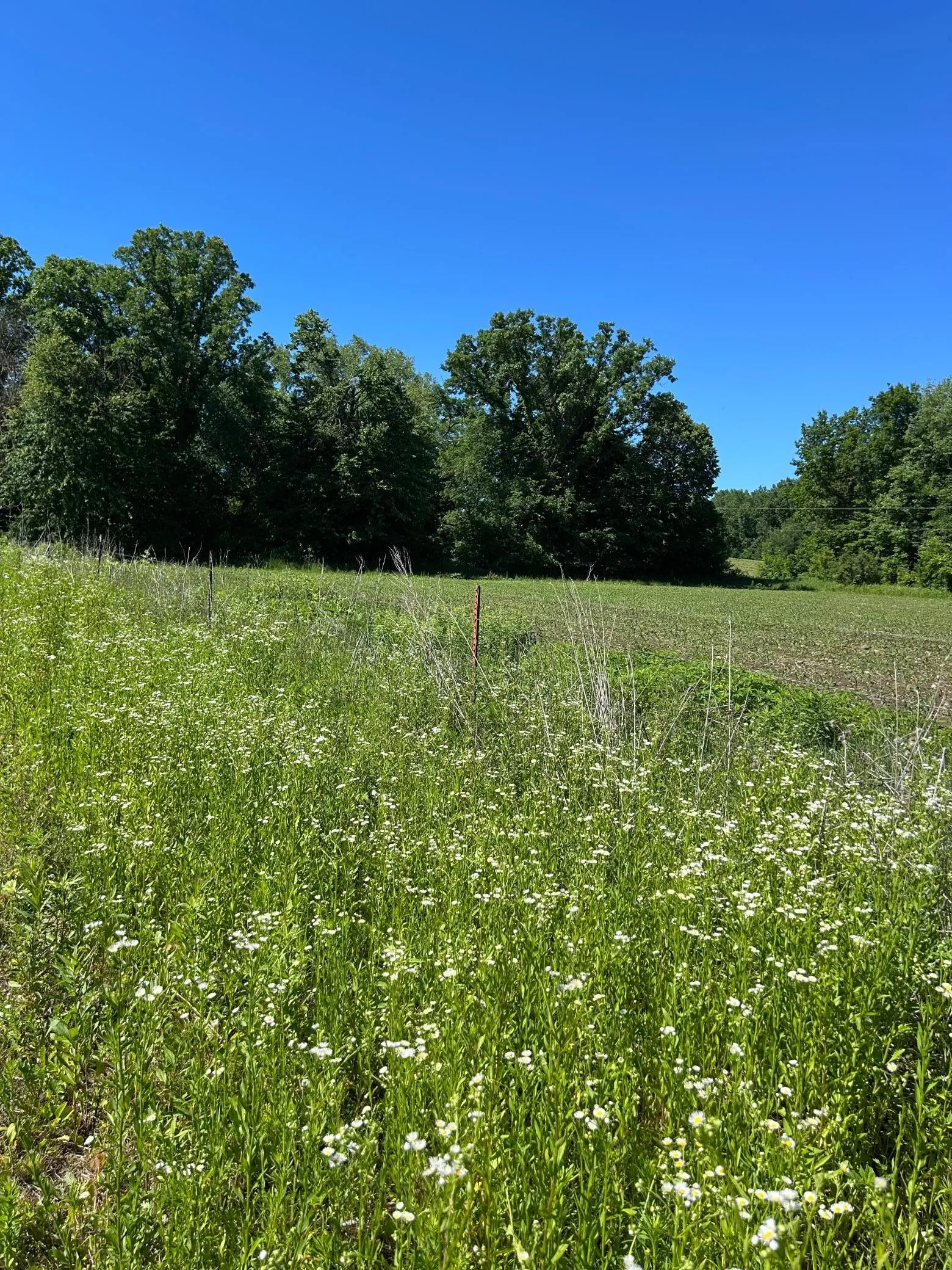 Photo 11 of Tbd Old Cty Rd B